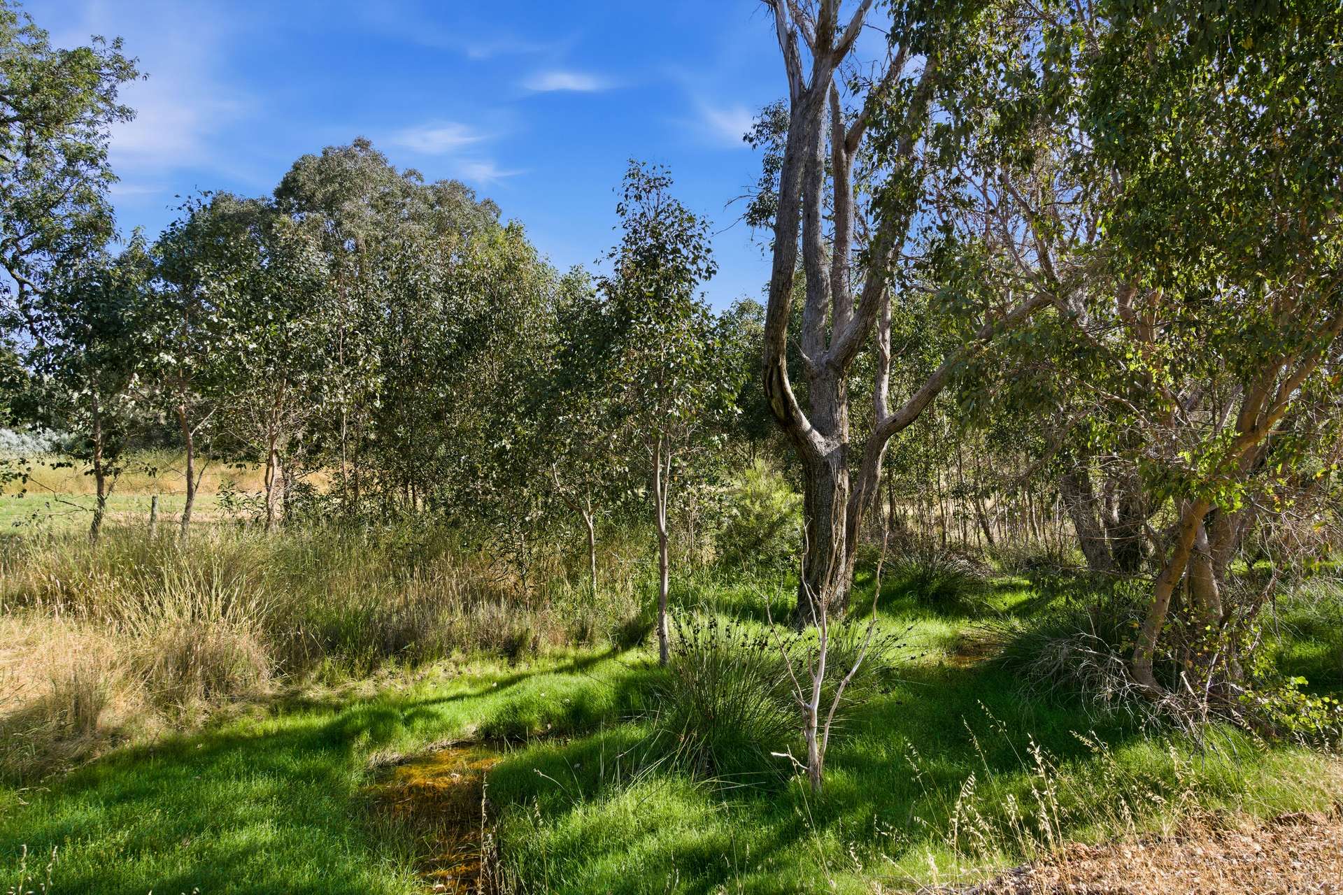 Lot 30 Windy Hollow Vale, Kangaroo Gully Sold by Farmbuy.com - image 4