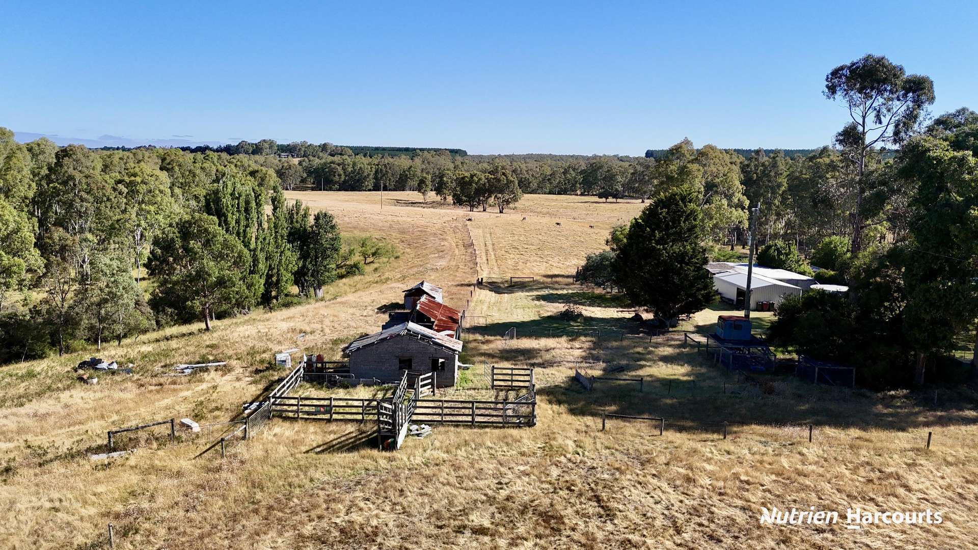 579 Casterton - Dartmoor Road, Bahgallah For Sale by Farmbuy.com - image 16