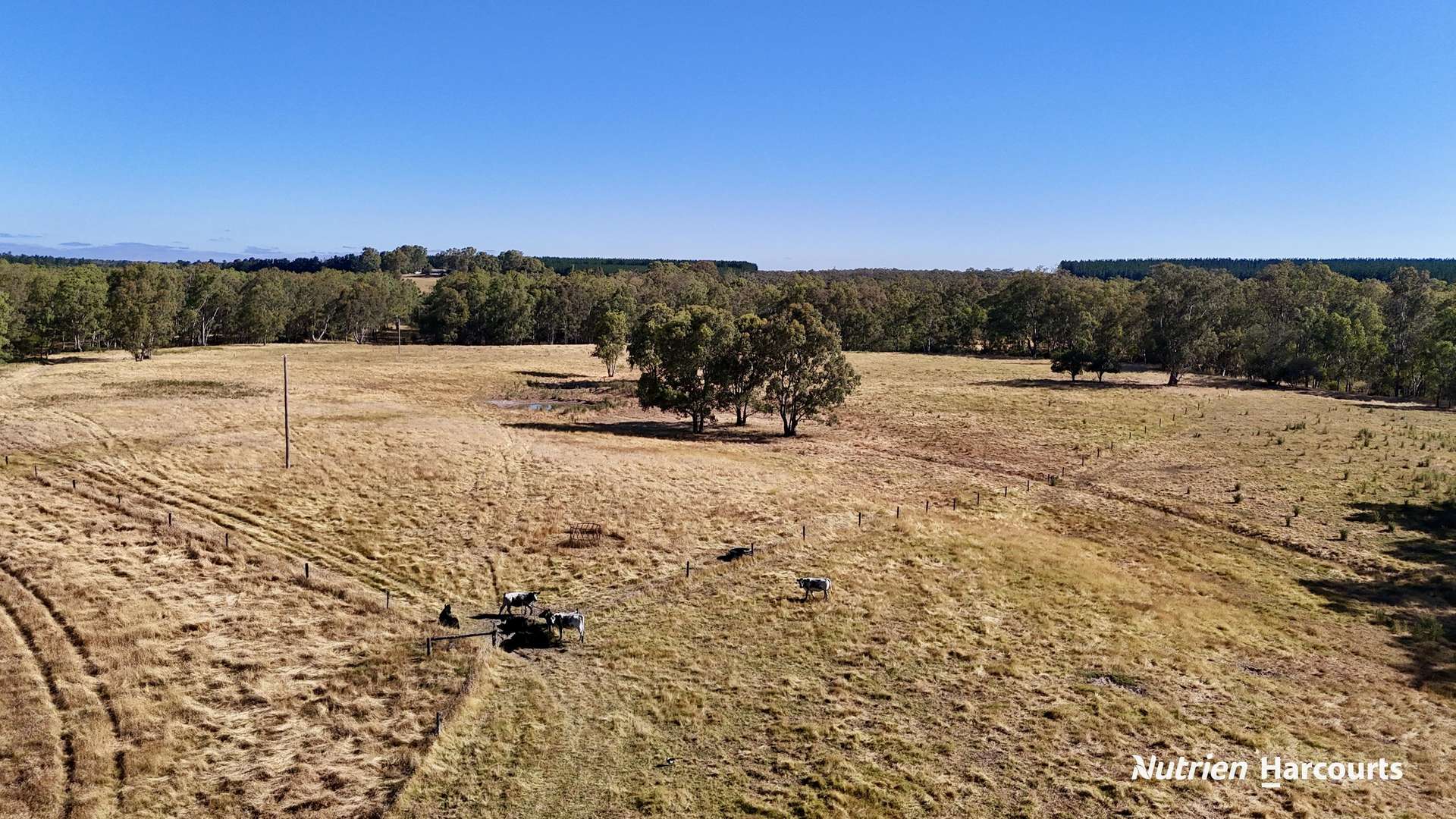 579 Casterton - Dartmoor Road, Bahgallah For Sale by Farmbuy.com - image 18