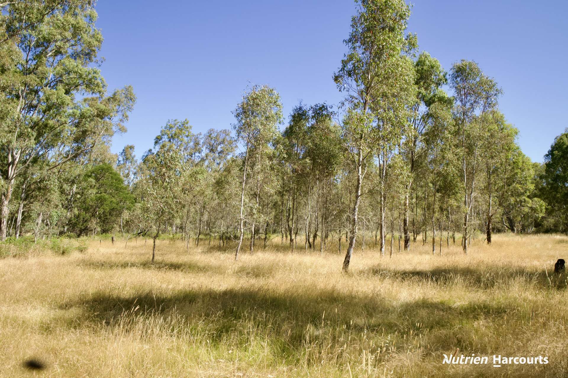579 Casterton - Dartmoor Road, Bahgallah For Sale by Farmbuy.com - image 23