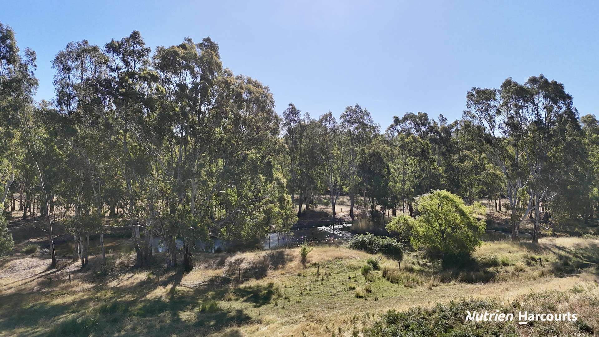 579 Casterton - Dartmoor Road, Bahgallah For Sale by Farmbuy.com - image 19