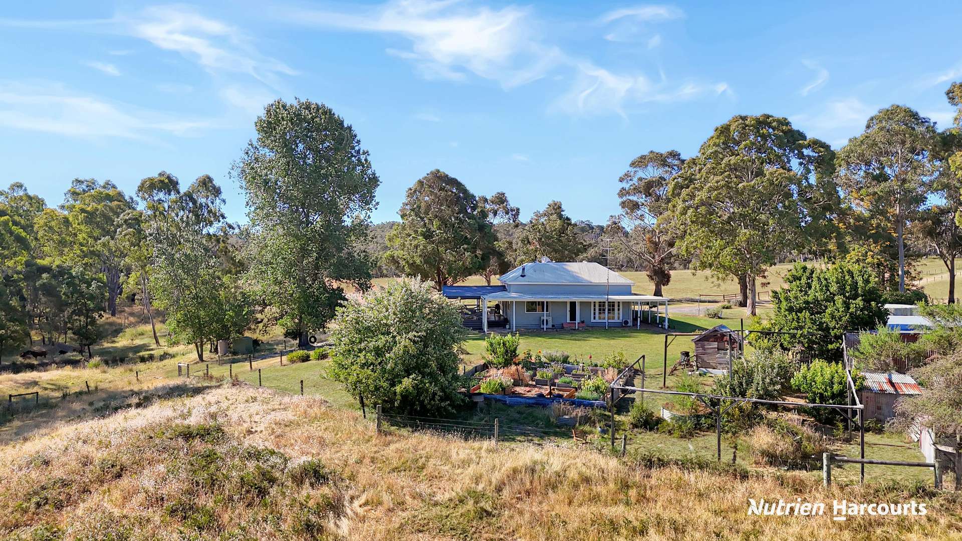 579 Casterton - Dartmoor Road, Bahgallah For Sale by Farmbuy.com - image 15