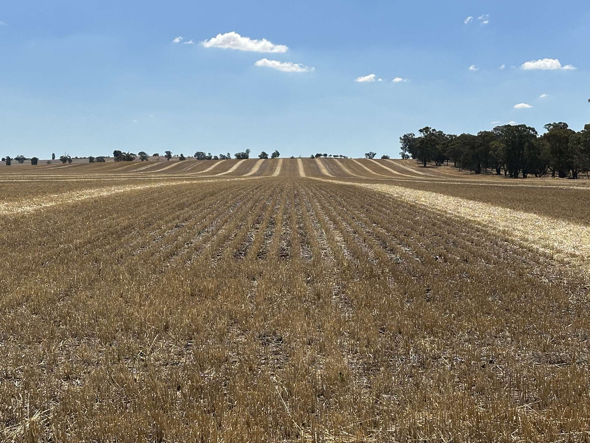 Lot 1 Tootool Mittagong Road, Tootool For Sale by Farmbuy.com - image 1