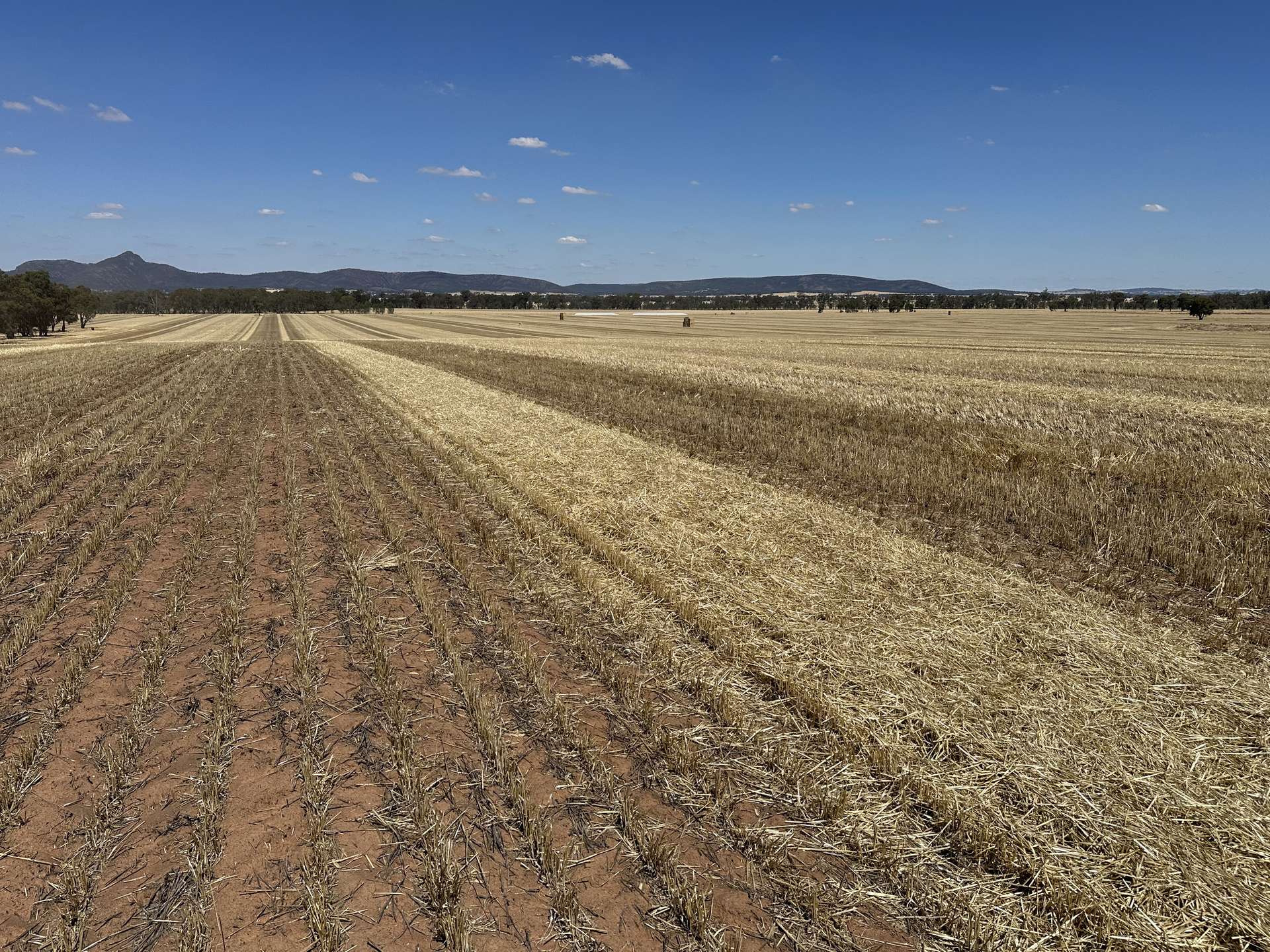 Lot 1 Tootool Mittagong Road, Tootool For Sale by Farmbuy.com - image 2