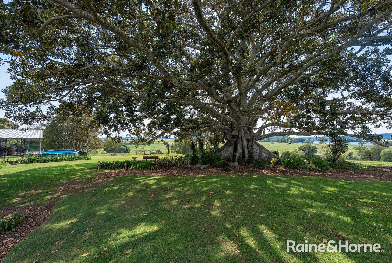 2351 Lawrence Road, Lower Southgate For Sale by Farmbuy.com - image 26