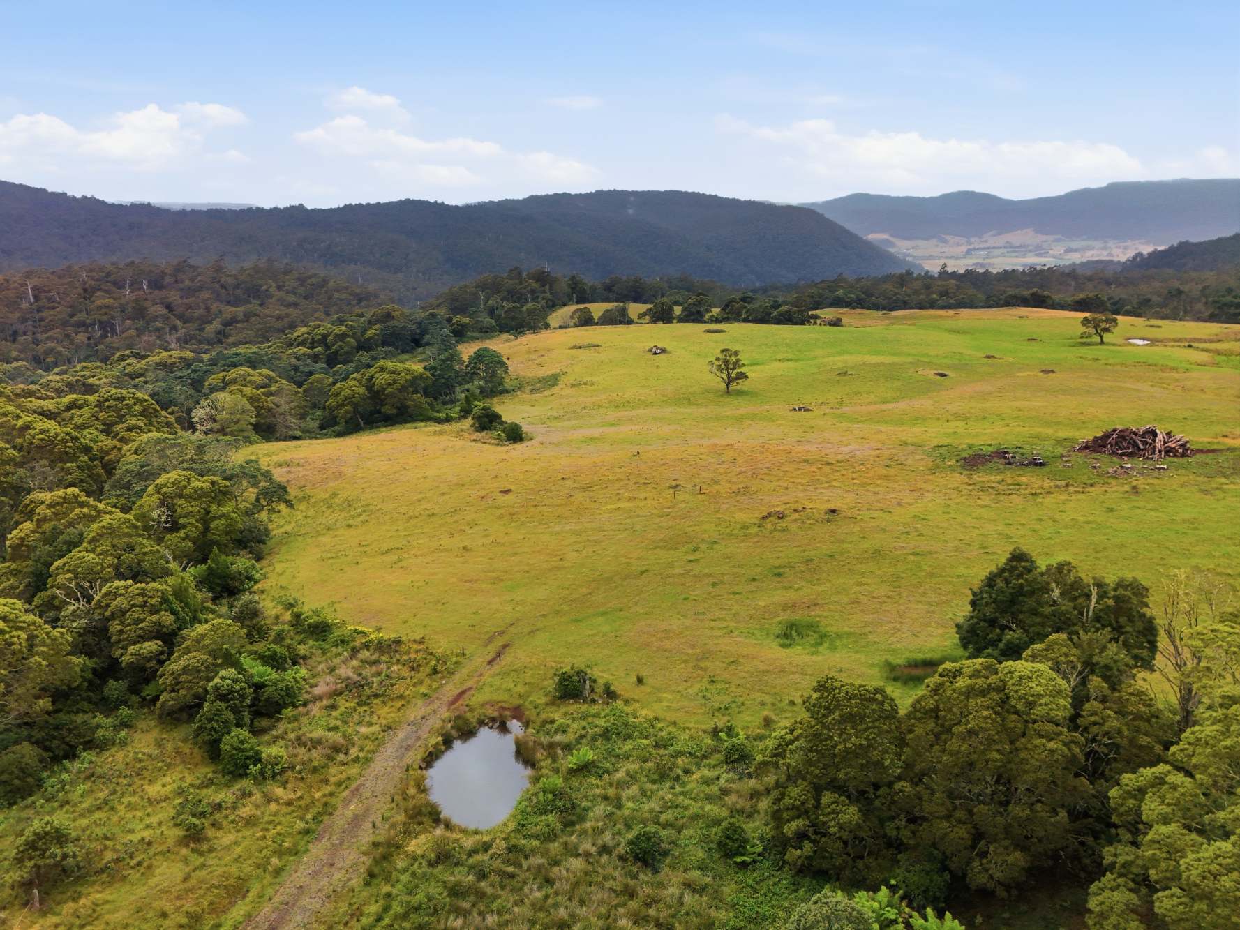 28834 Tasman Highway, Weldborough Sold by Farmbuy.com - image 8
