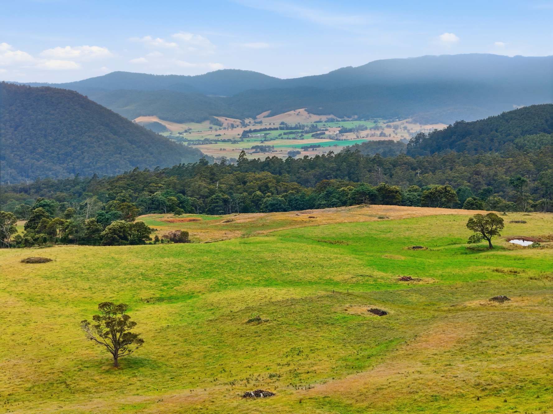 28834 Tasman Highway, Weldborough Sold by Farmbuy.com - image 4