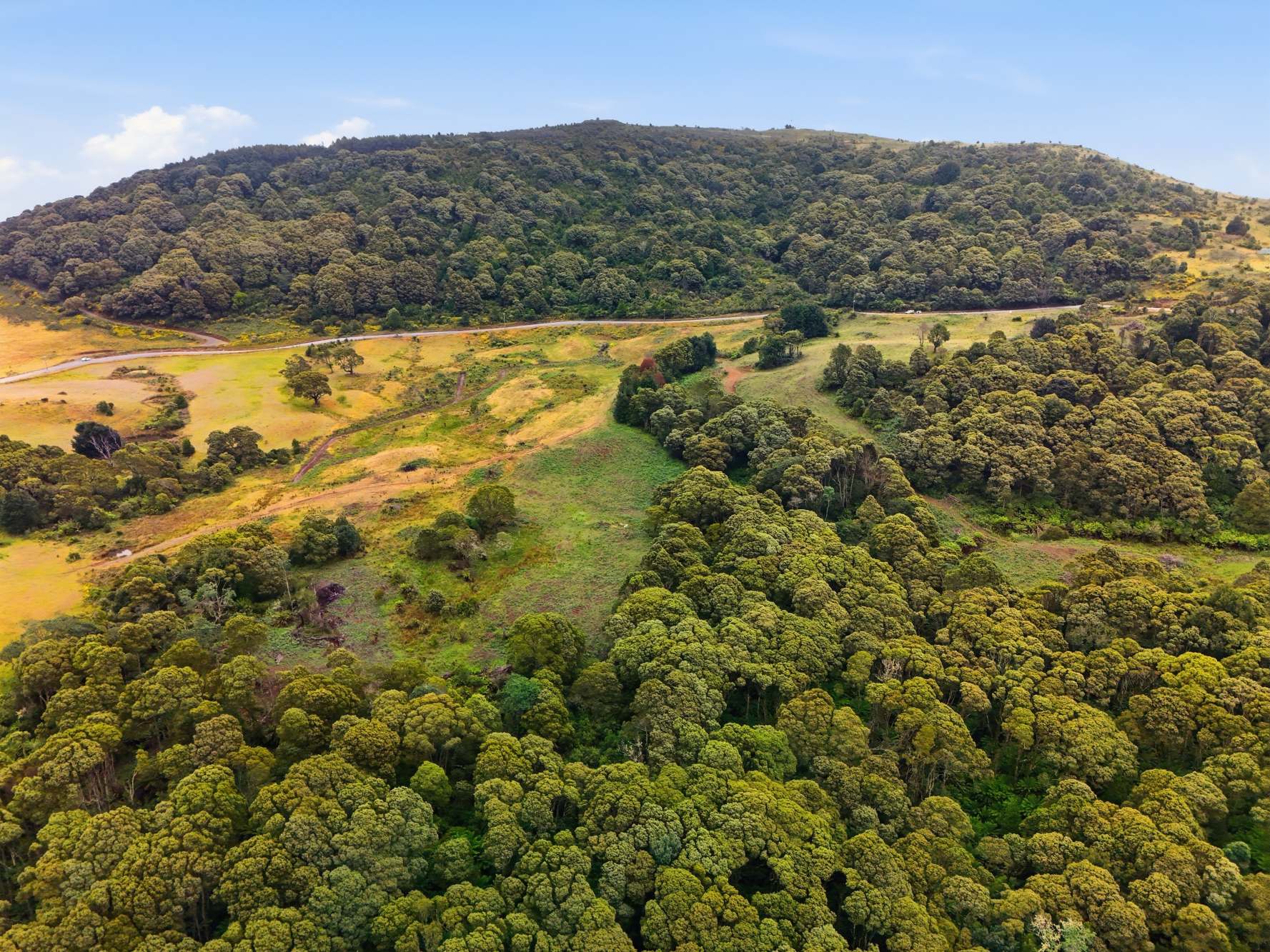 28834 Tasman Highway, Weldborough Sold by Farmbuy.com - image 17