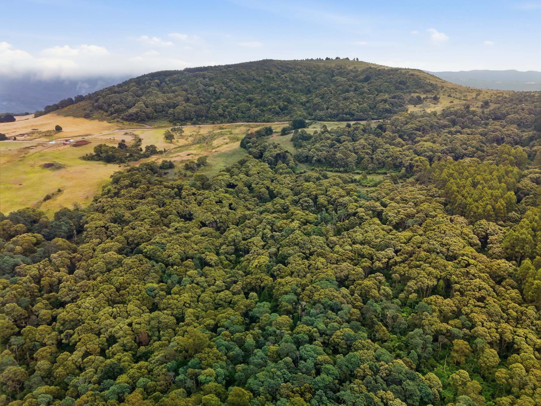 28834 Tasman Highway, Weldborough Sold by Farmbuy.com - image 9