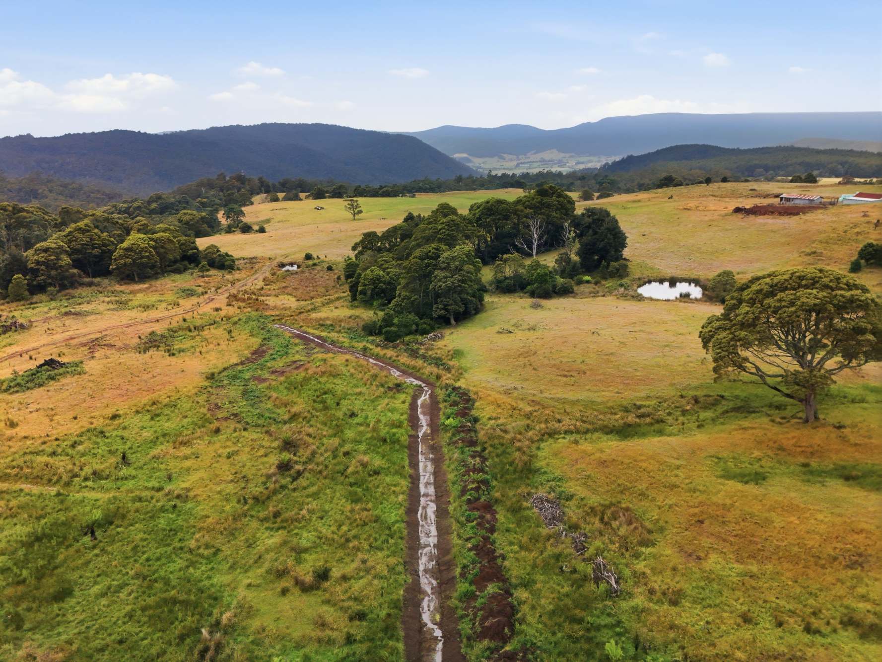 28834 Tasman Highway, Weldborough Sold by Farmbuy.com - image 6