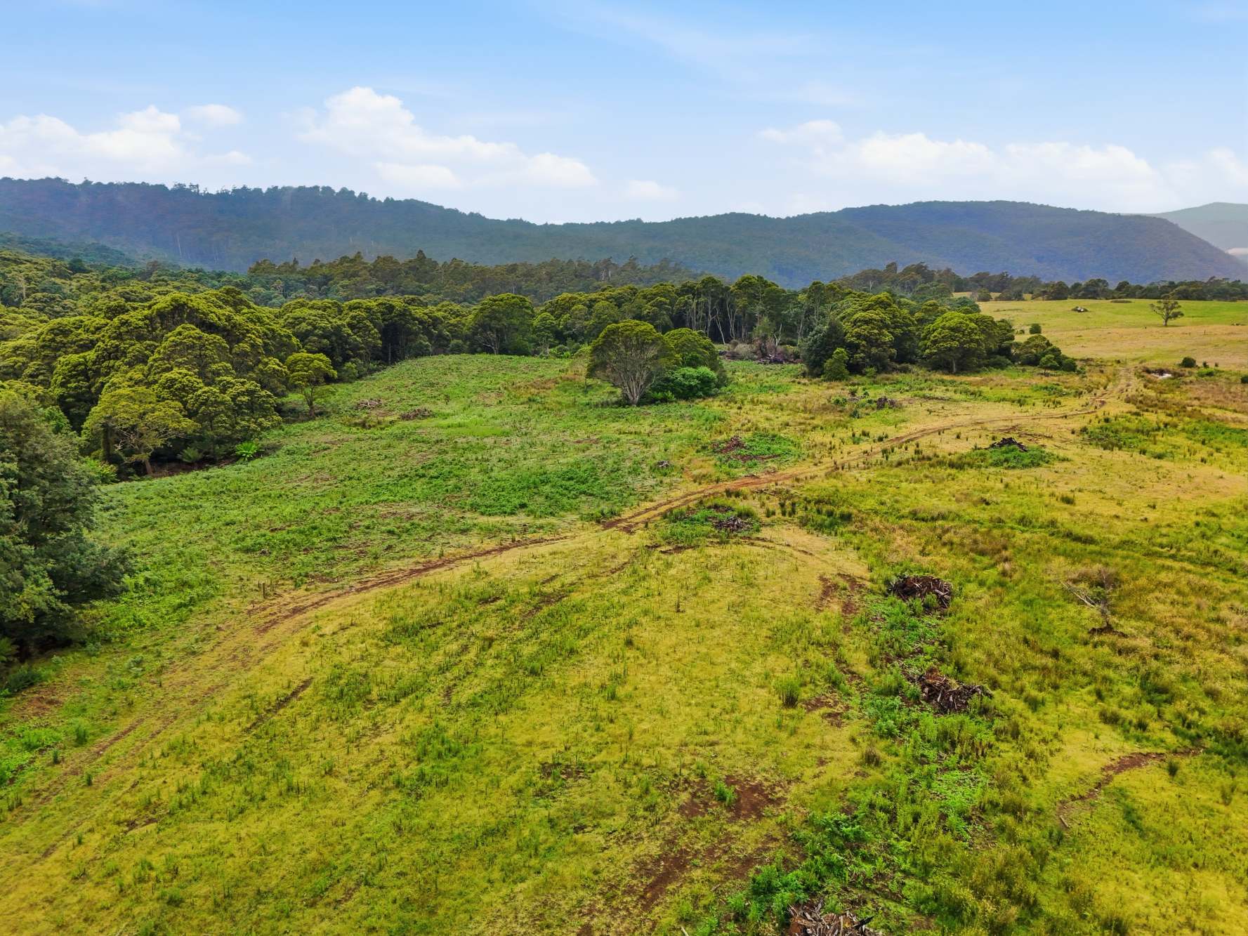 28834 Tasman Highway, Weldborough Sold by Farmbuy.com - image 18