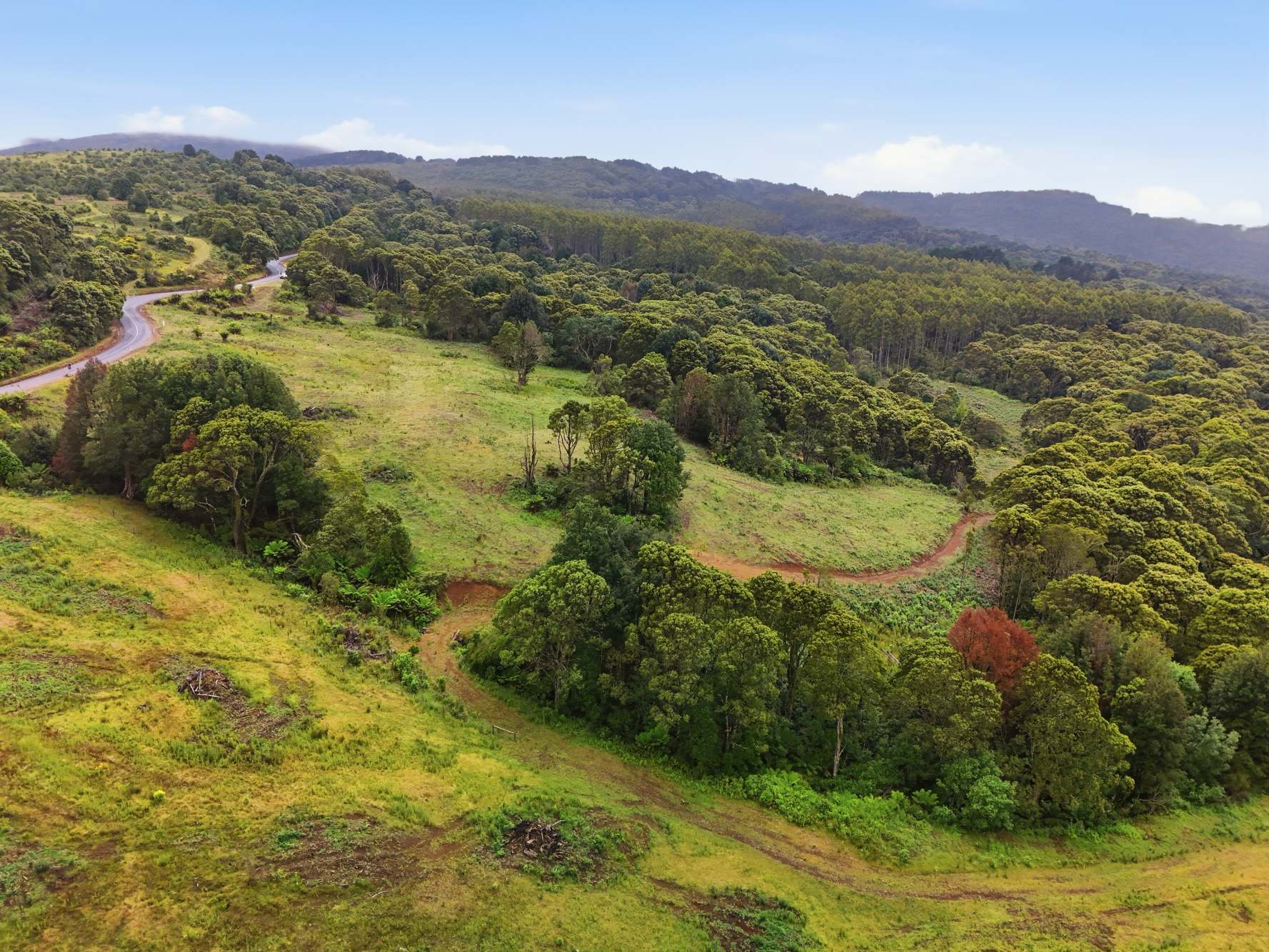 28834 Tasman Highway, Weldborough Sold by Farmbuy.com - image 16