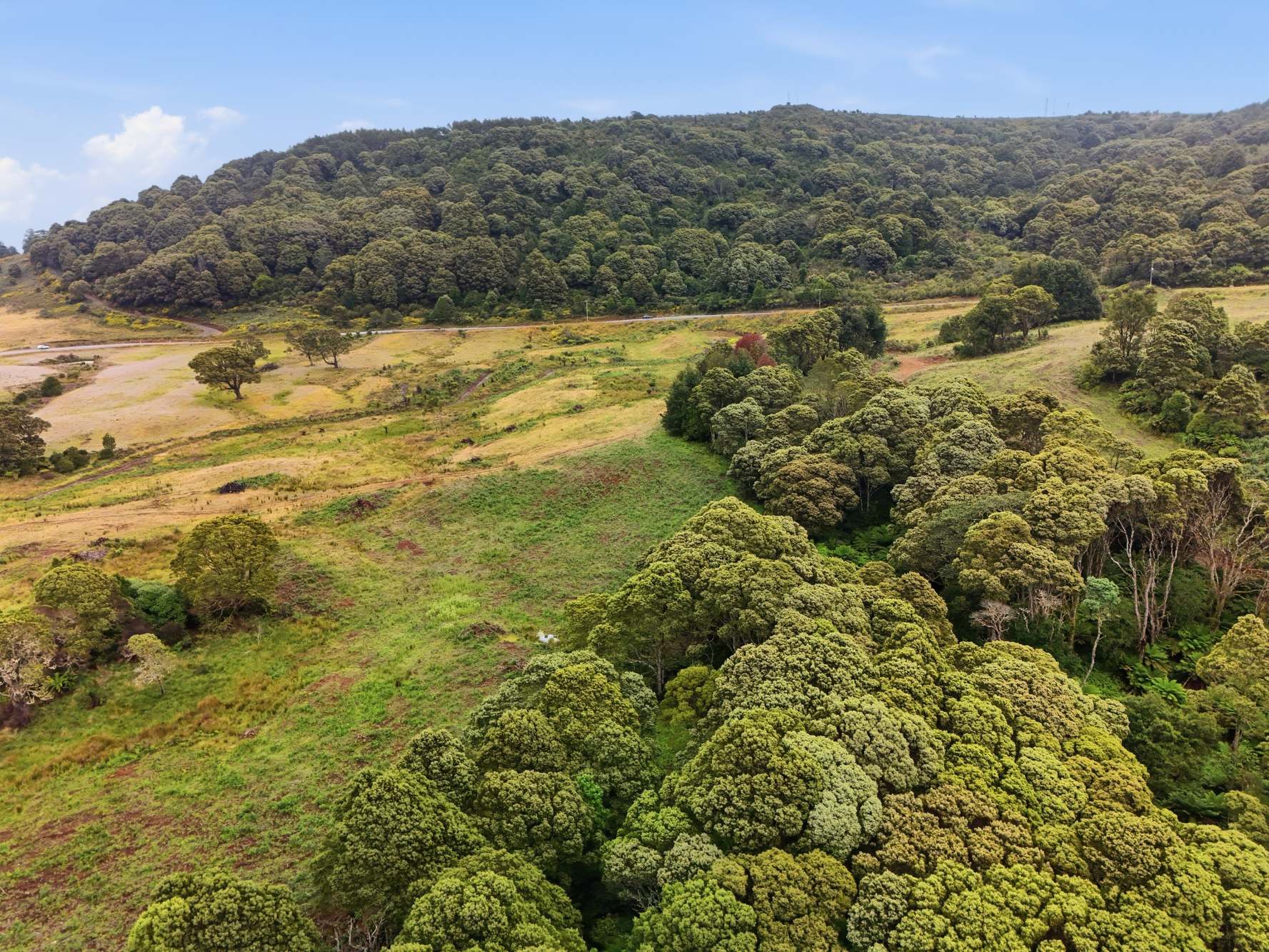 28834 Tasman Highway, Weldborough Sold by Farmbuy.com - image 3
