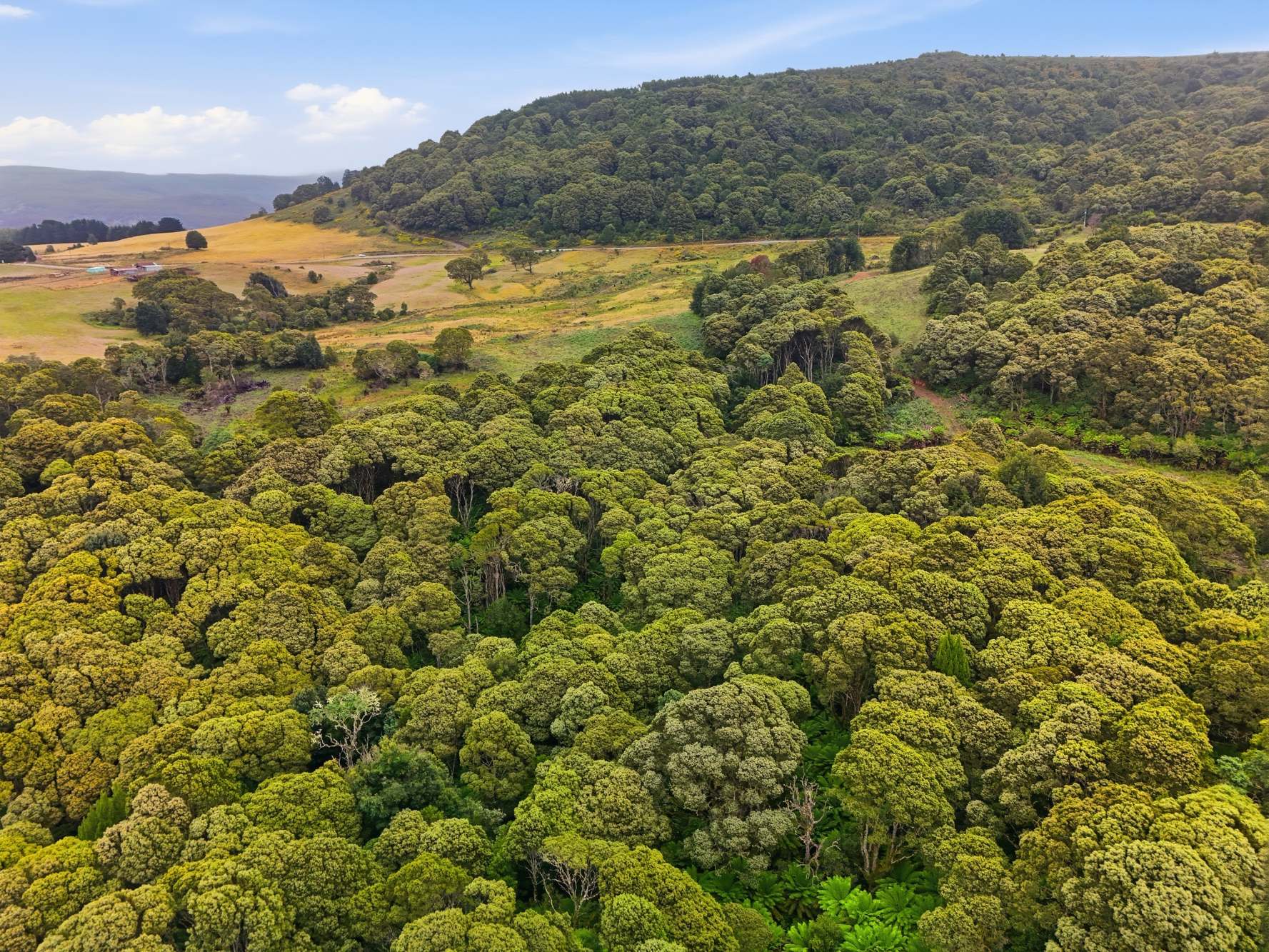 28834 Tasman Highway, Weldborough Sold by Farmbuy.com - image 13