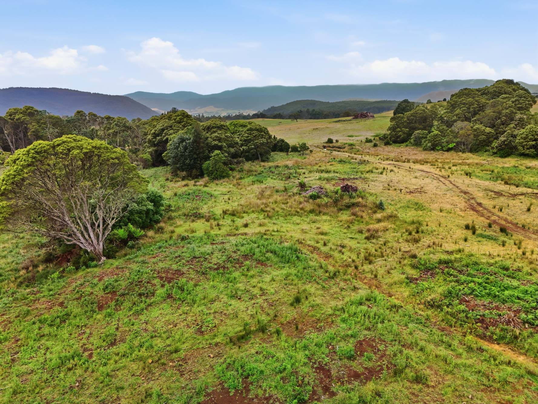 28834 Tasman Highway, Weldborough Sold by Farmbuy.com - image 14