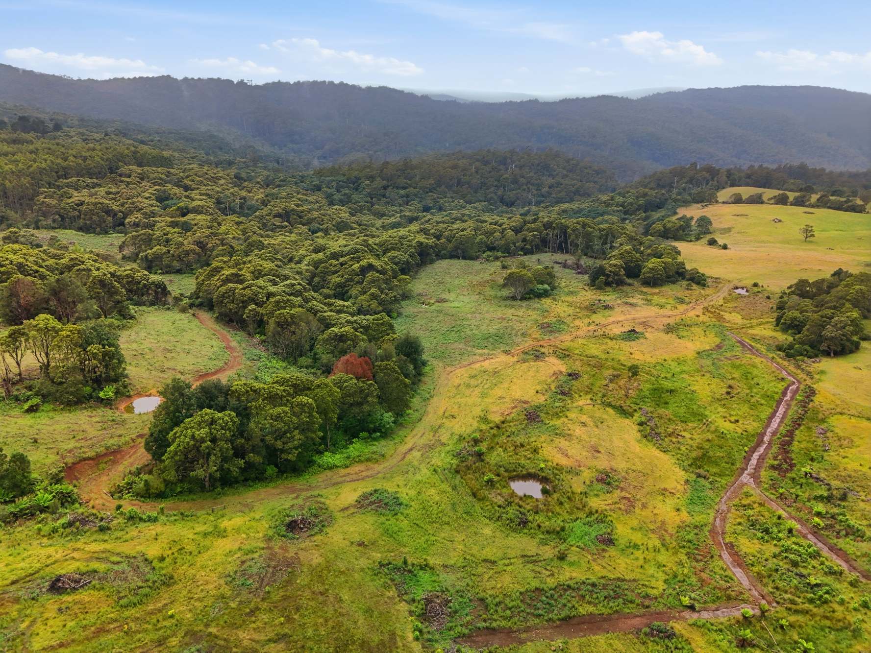 28834 Tasman Highway, Weldborough Sold by Farmbuy.com - image 19