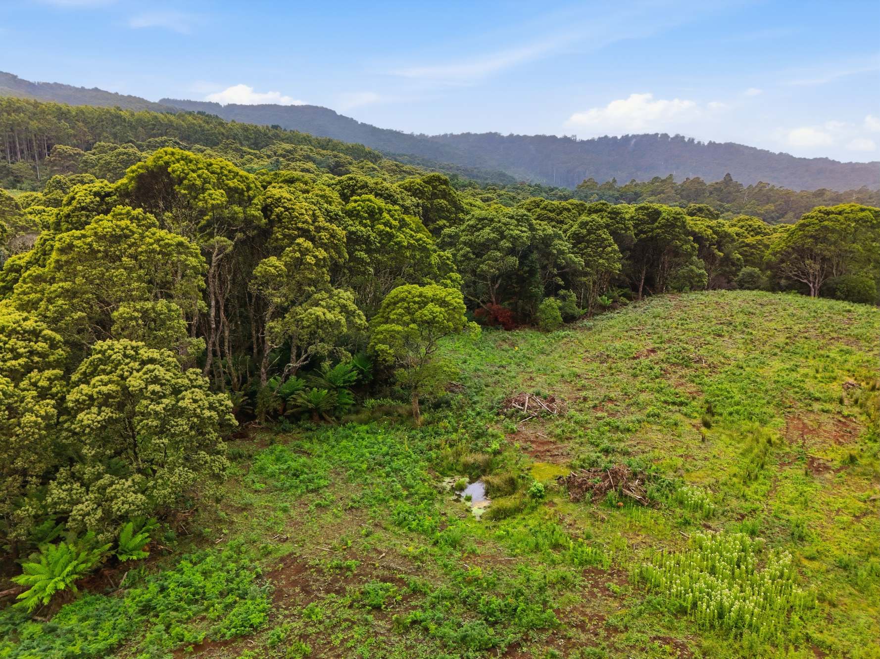 28834 Tasman Highway, Weldborough Sold by Farmbuy.com - image 12