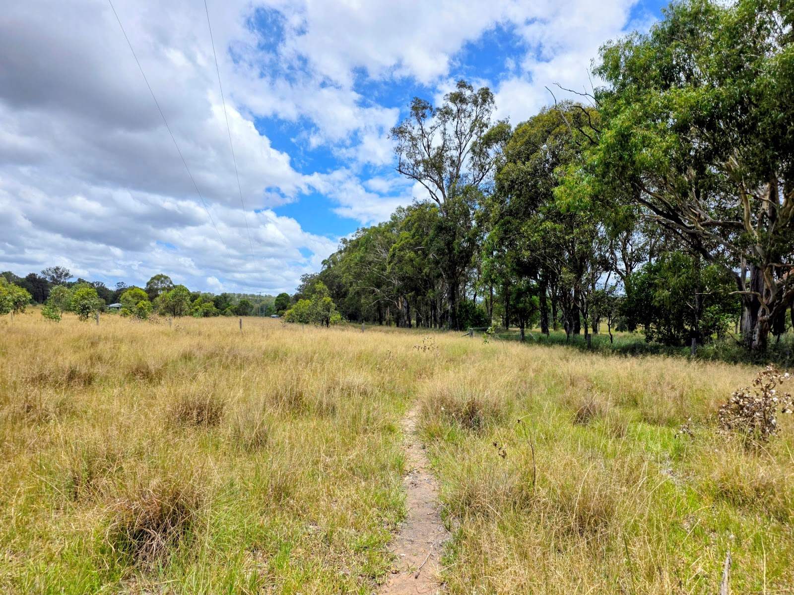 Lot 24 Cnr. Of The New England Highway &amp; Jacob Road, Crows Nest For Sale by Farmbuy.com - image 13