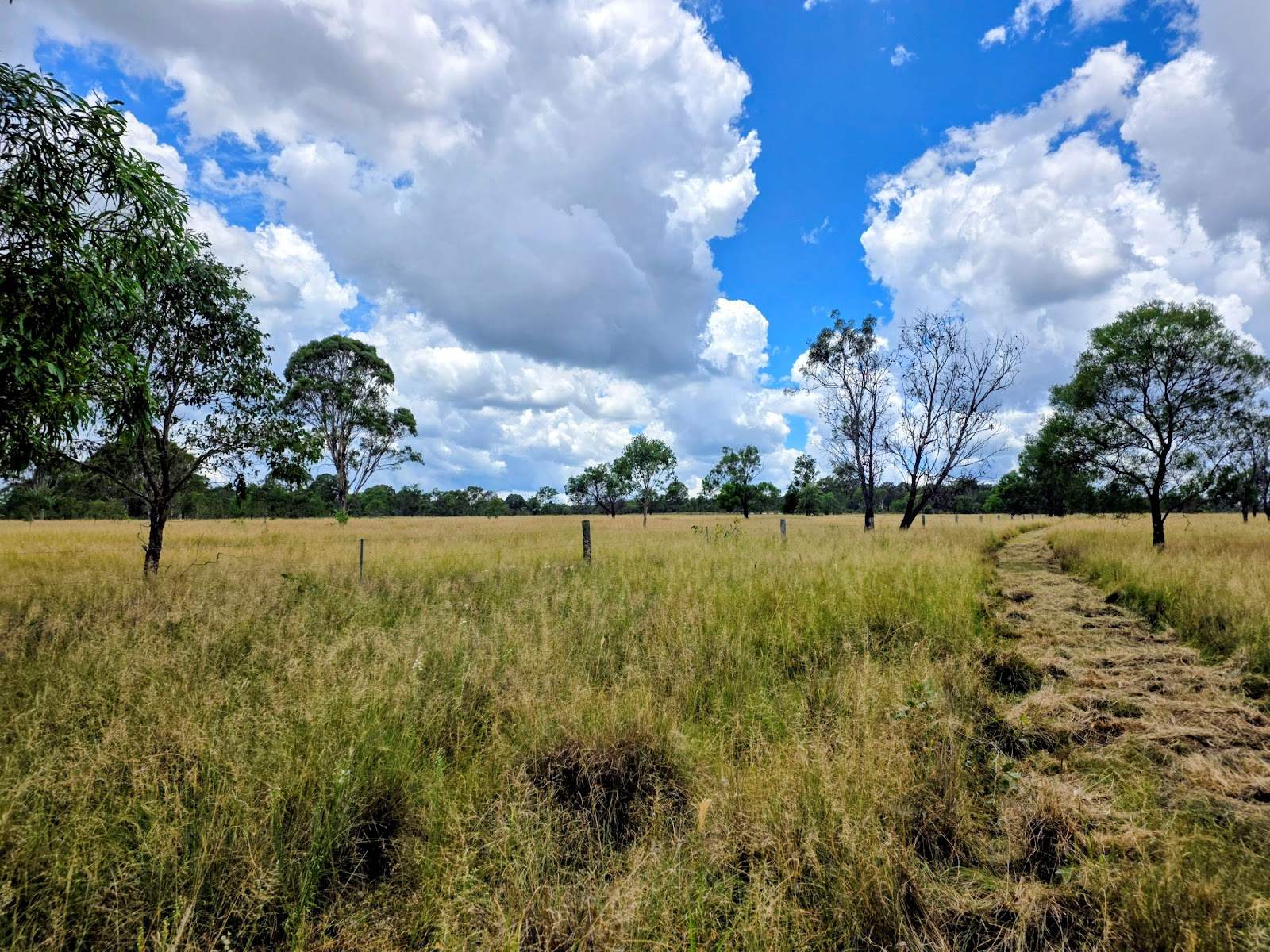 Lot 24 Cnr. Of The New England Highway &amp; Jacob Road, Crows Nest For Sale by Farmbuy.com - image 15