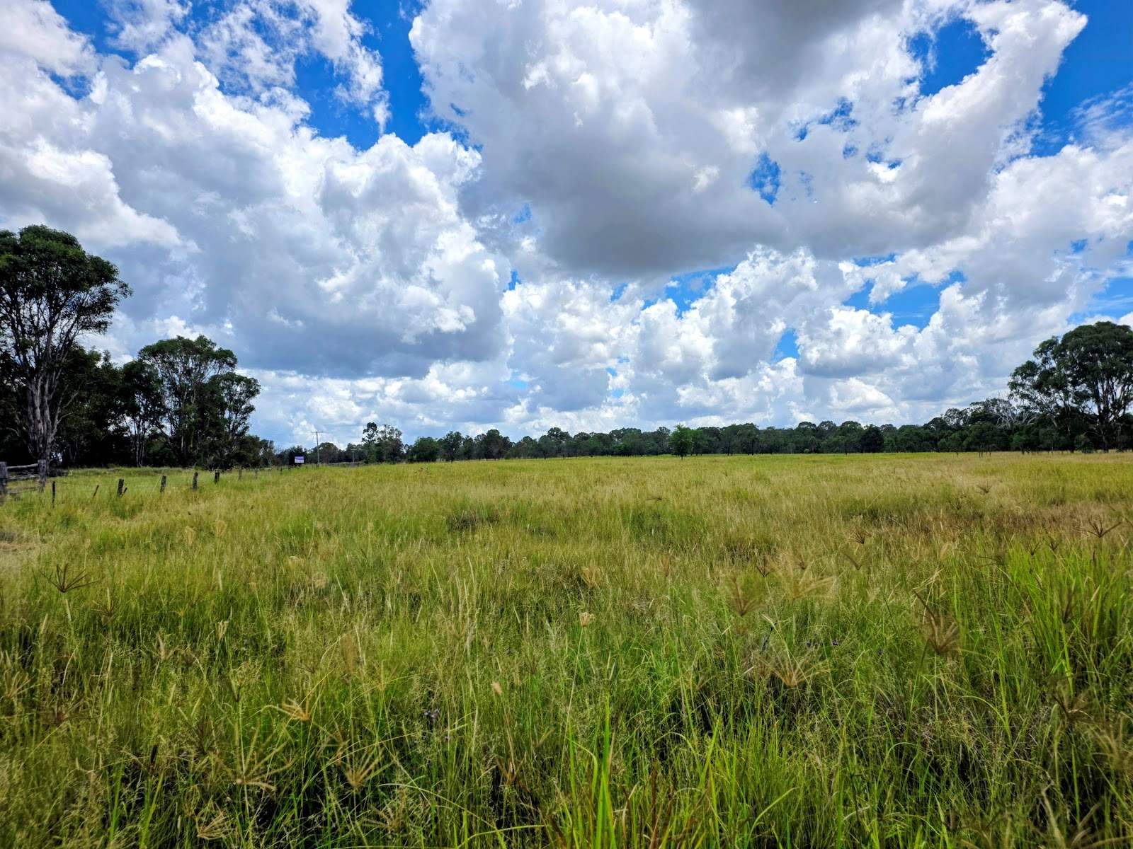 Lot 24 Cnr. Of The New England Highway &amp; Jacob Road, Crows Nest For Sale by Farmbuy.com - image 3