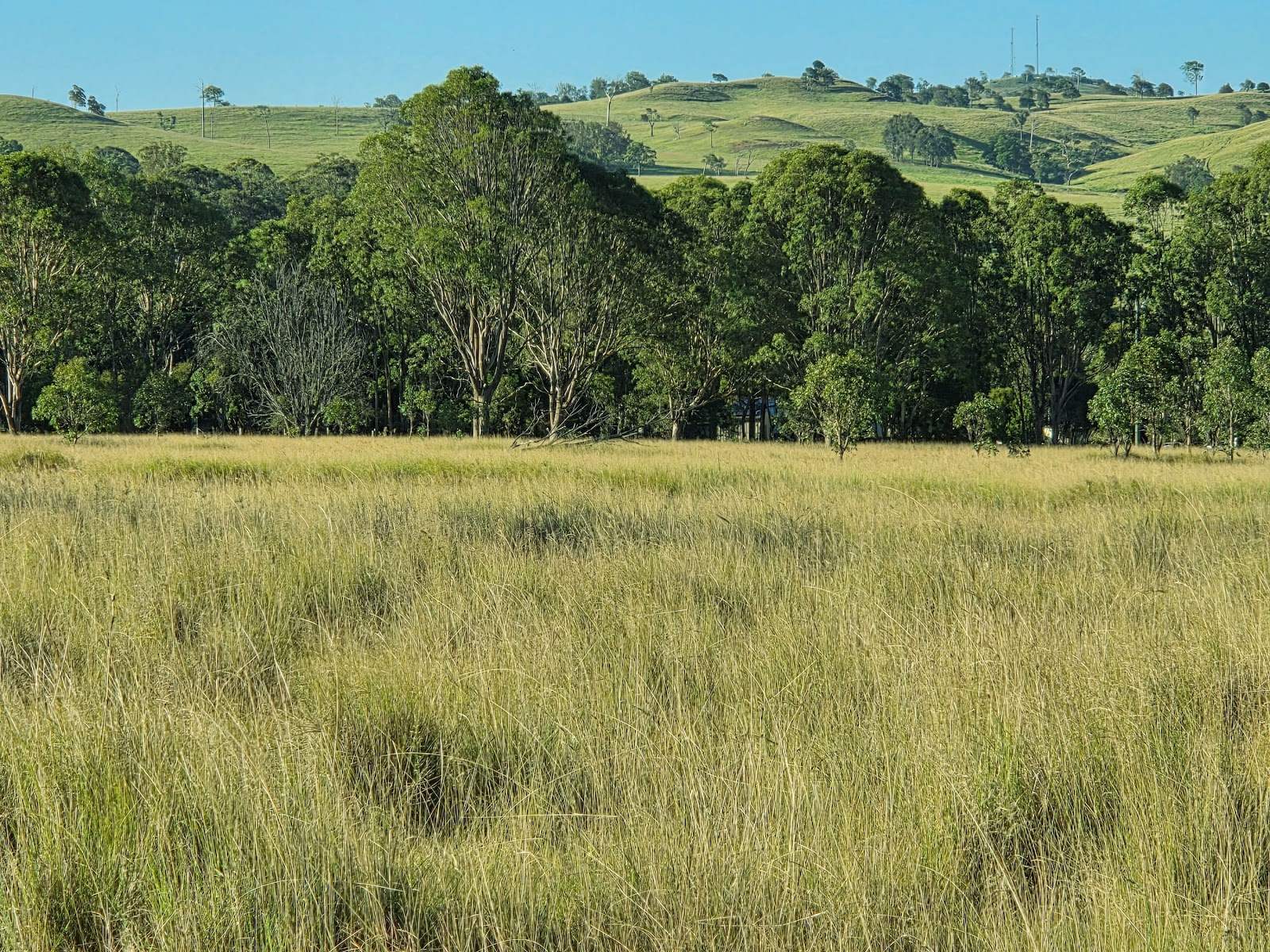 Lot 24 Cnr. Of The New England Highway &amp; Jacob Road, Crows Nest For Sale by Farmbuy.com - image 19