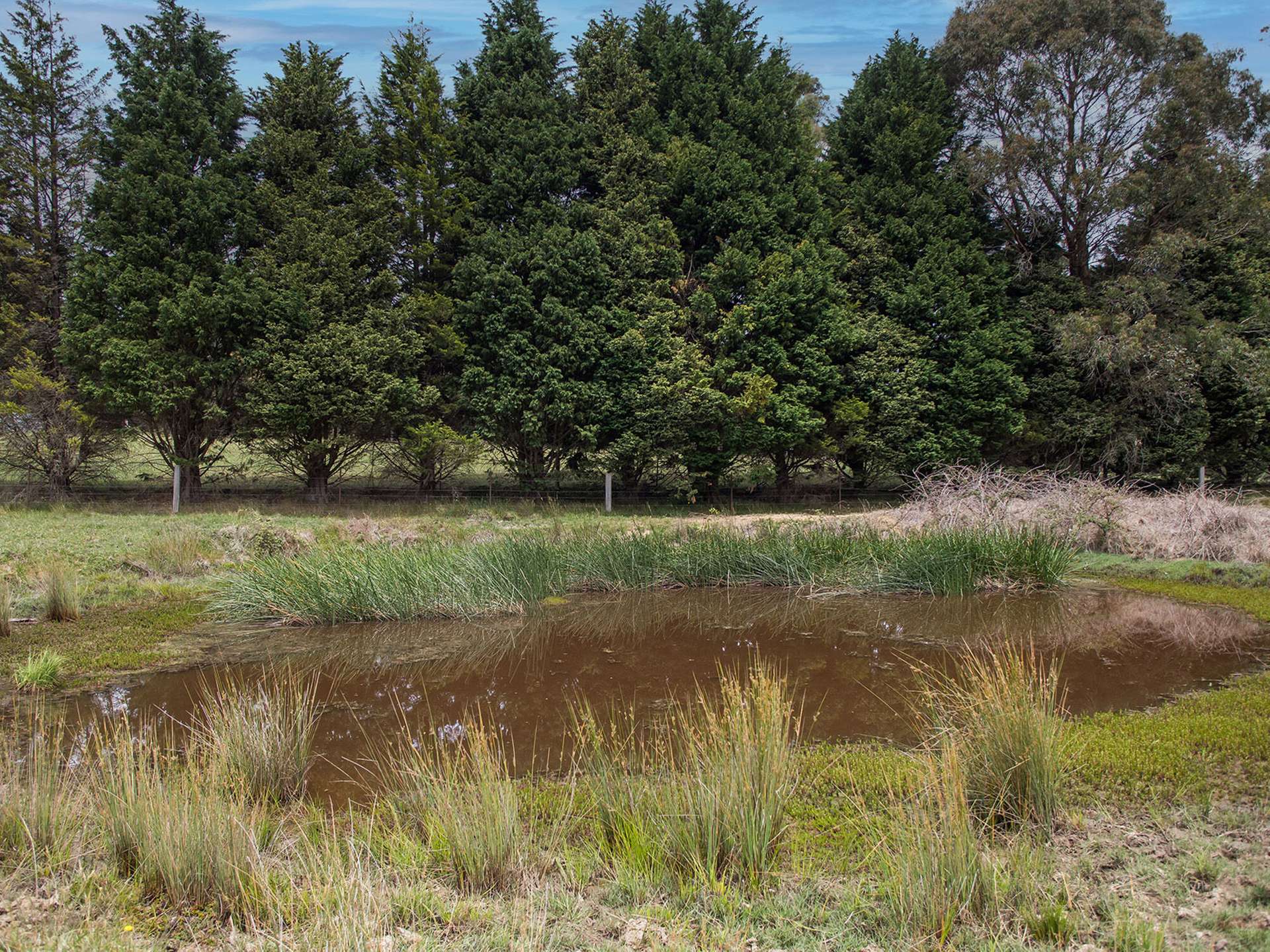 746 Sheepwash Road, Avoca Sold by Farmbuy.com - image 19