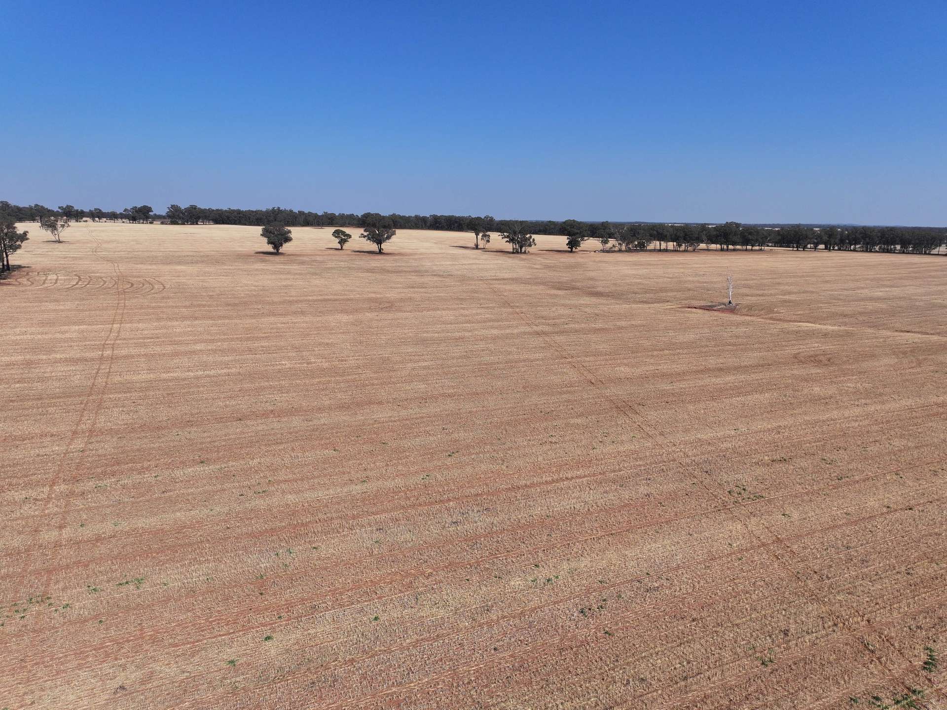 'Wattlevale' 875 Schmidts Lane, Gidginbung For Sale by Farmbuy.com - image 4