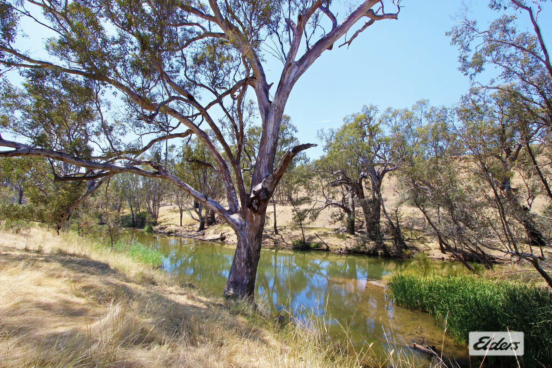 519 Axedale-Kimbolton Road, Eppalock For Sale by Farmbuy.com - image 9