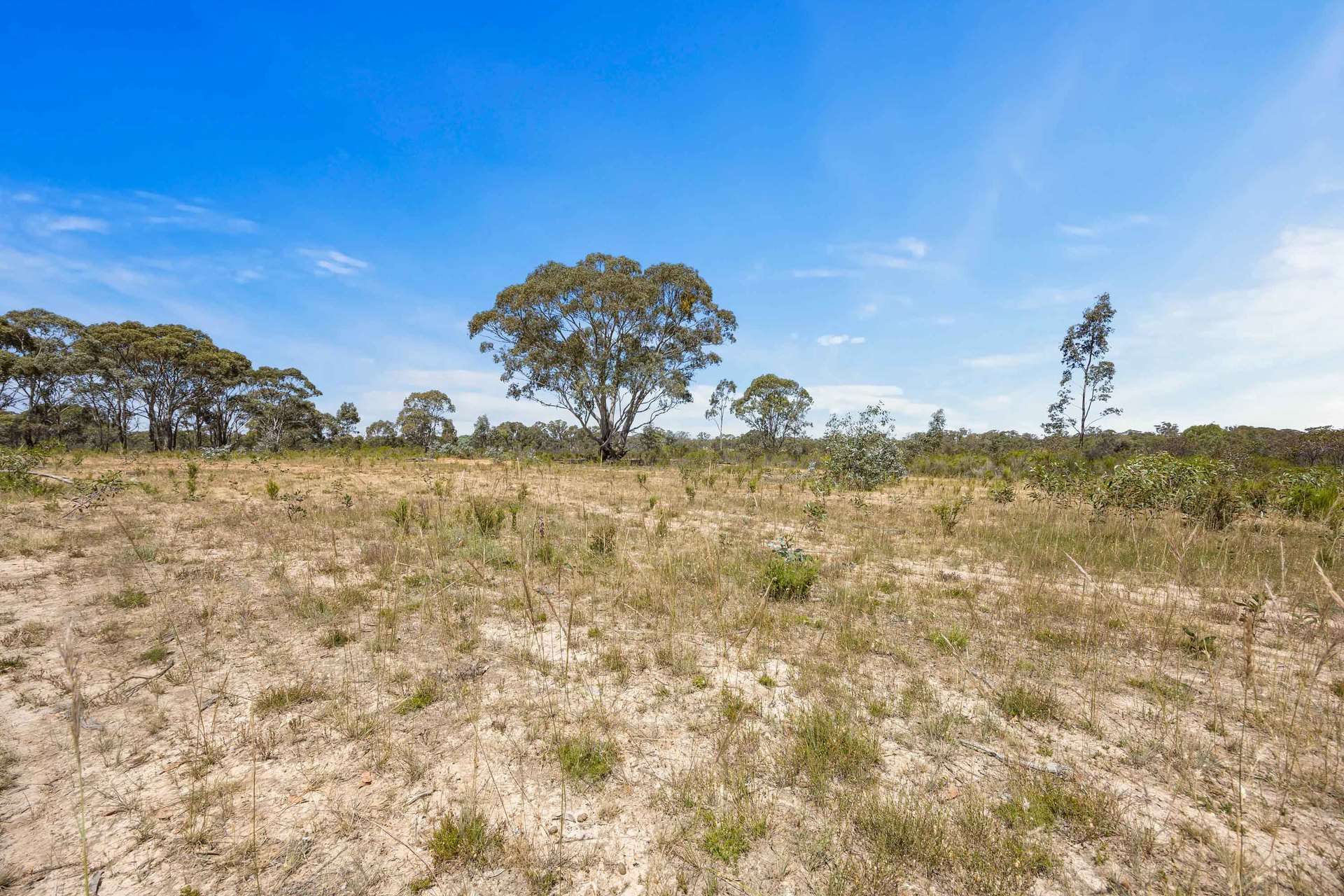 Level CA 26/ Moyreisk Road, Redbank Sold by Farmbuy.com - image 17