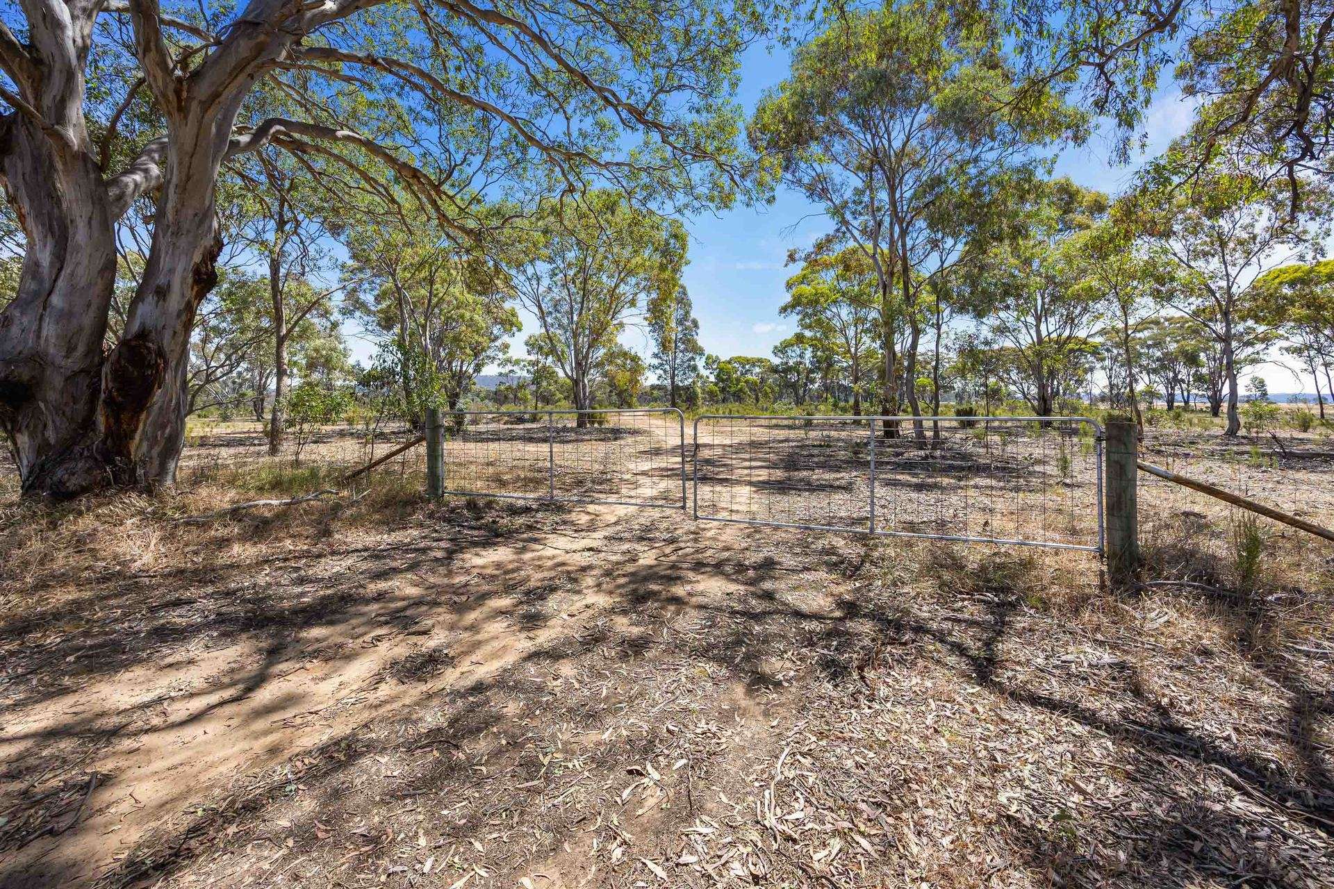 Level CA 26/ Moyreisk Road, Redbank Sold by Farmbuy.com - image 5