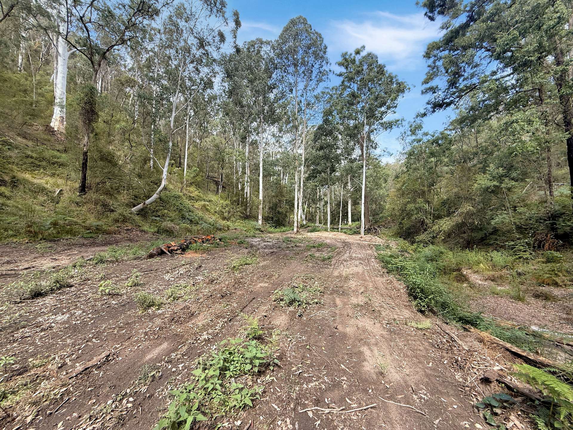 946 Stockyard Creek Road, Paynes Crossing For Sale by Farmbuy.com - image 12