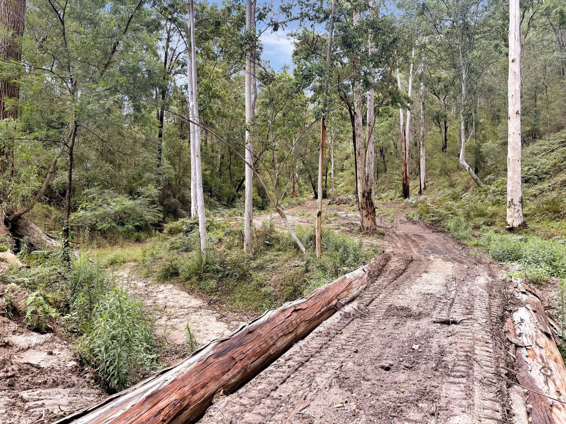 946 Stockyard Creek Road, Paynes Crossing For Sale by Farmbuy.com - image 11