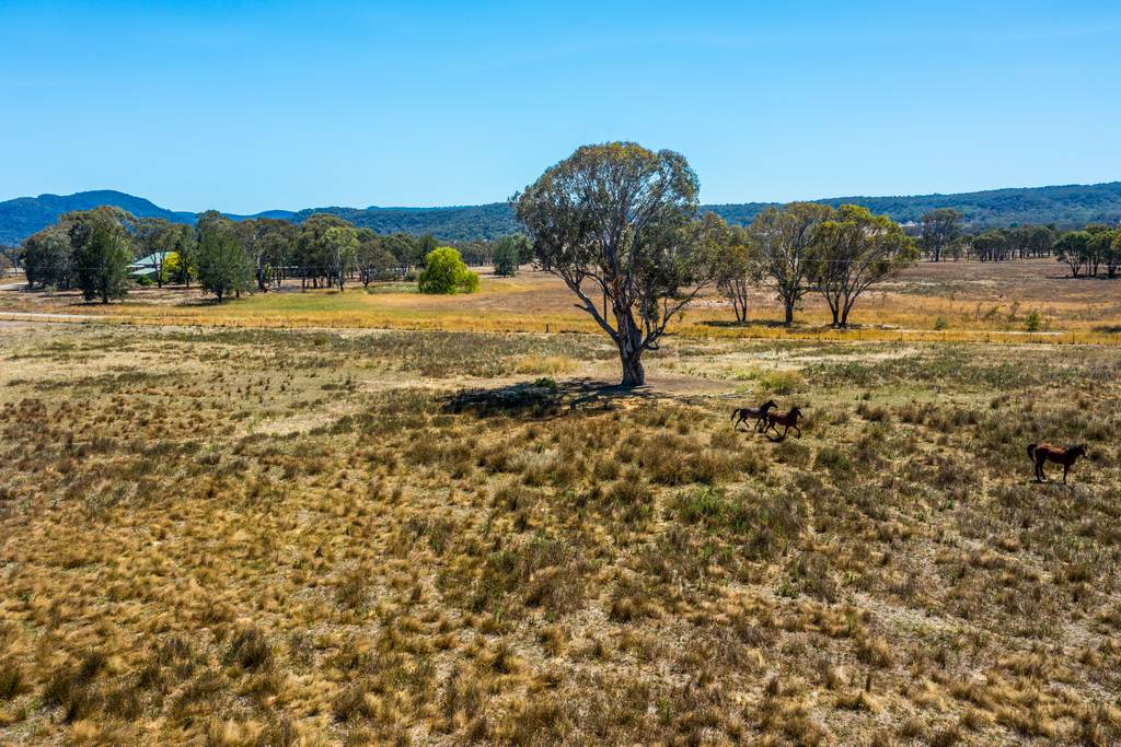 271 Pyangle Road, Rylstone NSW 2849