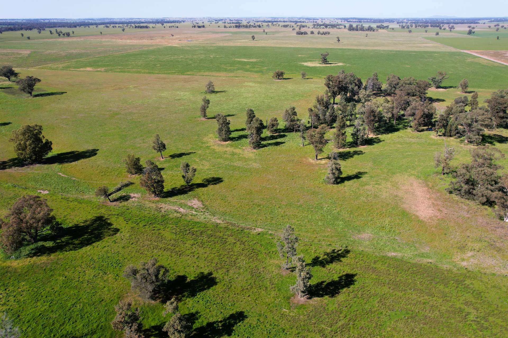 1715 The Bogan Way, Forbes For Sale by Farmbuy.com - image 9