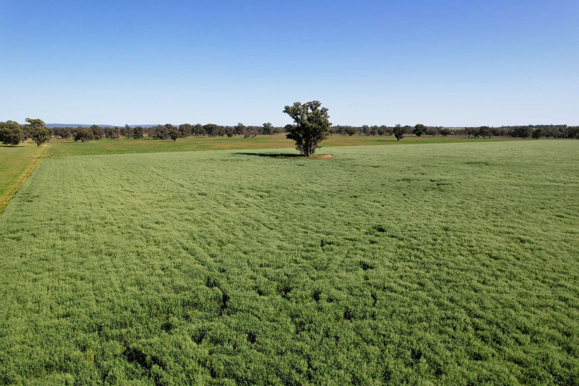 1715 The Bogan Way, Forbes For Sale by Farmbuy.com - image 8