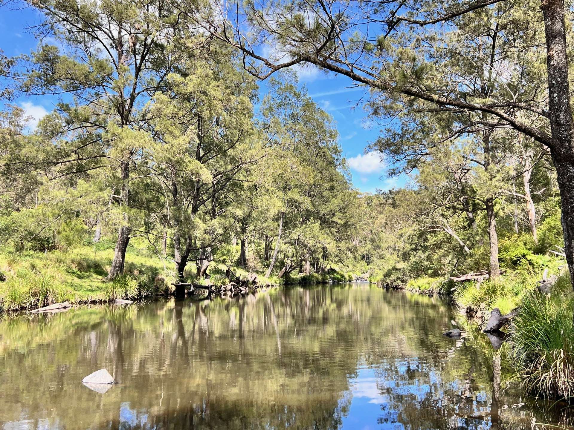 191 Sheepstation Creek Road, Dundurrabin For Sale by Farmbuy.com - image 15