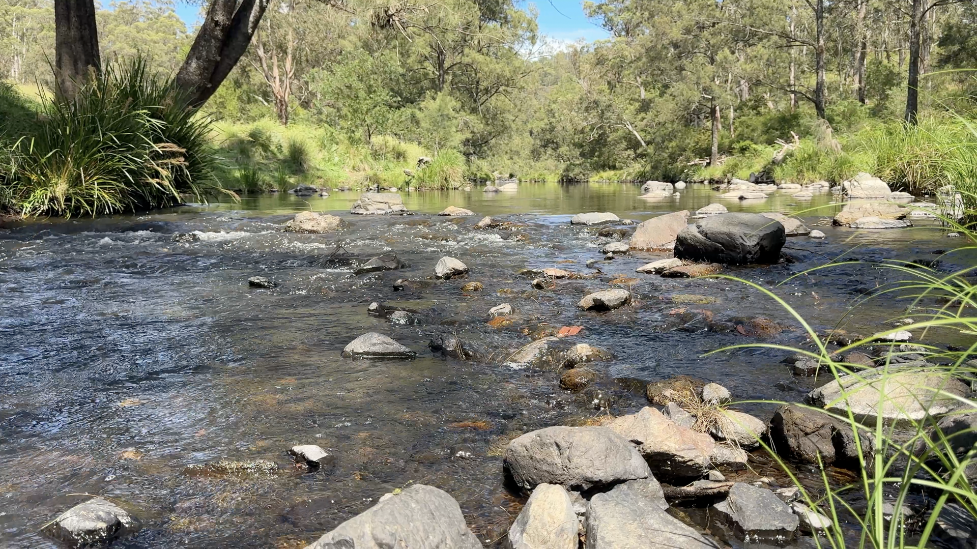 191 Sheepstation Creek Road, Dundurrabin For Sale by Farmbuy.com - image 2