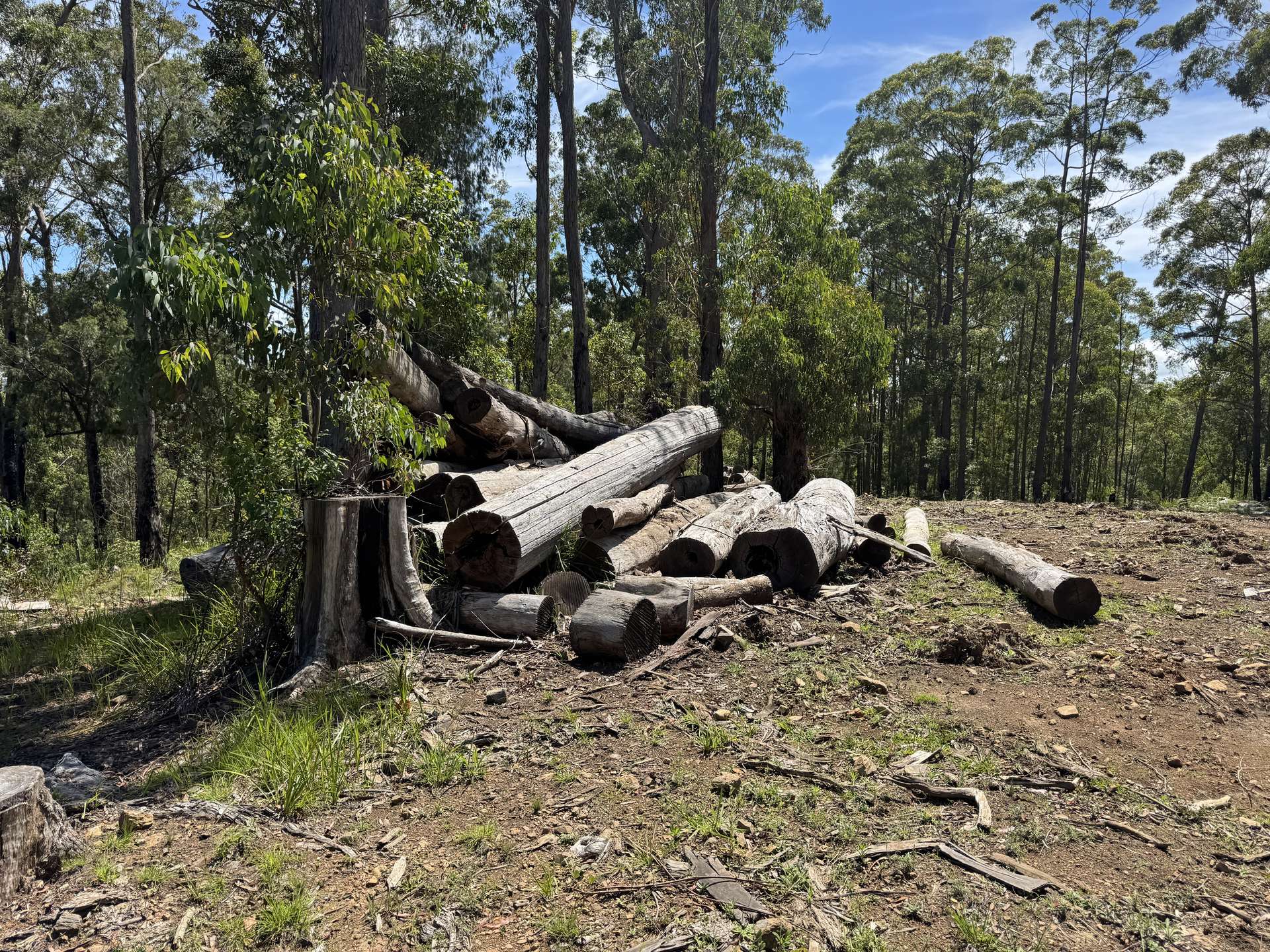 191 Sheepstation Creek Road, Dundurrabin For Sale by Farmbuy.com - image 12
