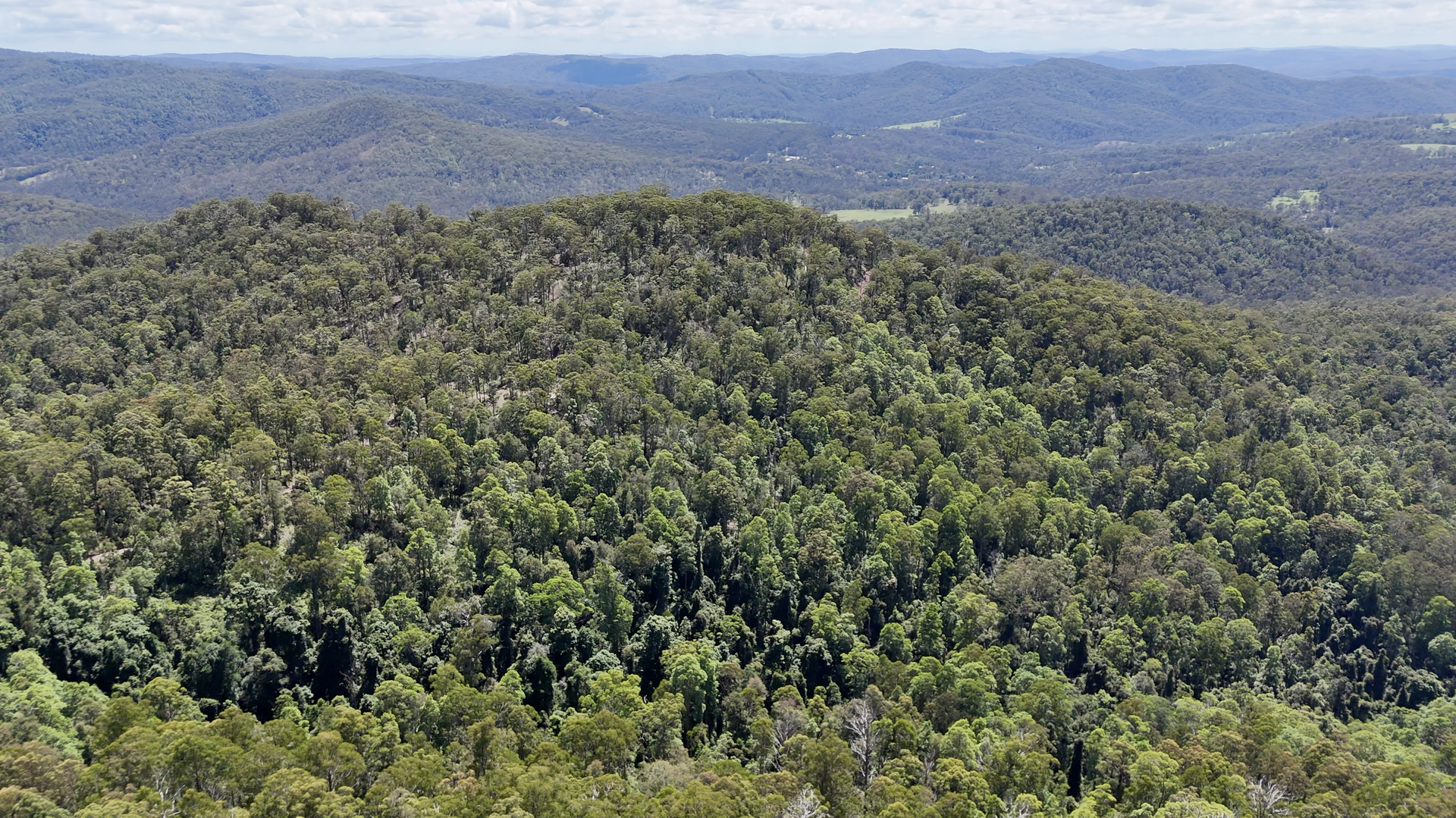 191 Sheepstation Creek Road, Dundurrabin For Sale by Farmbuy.com - image 3