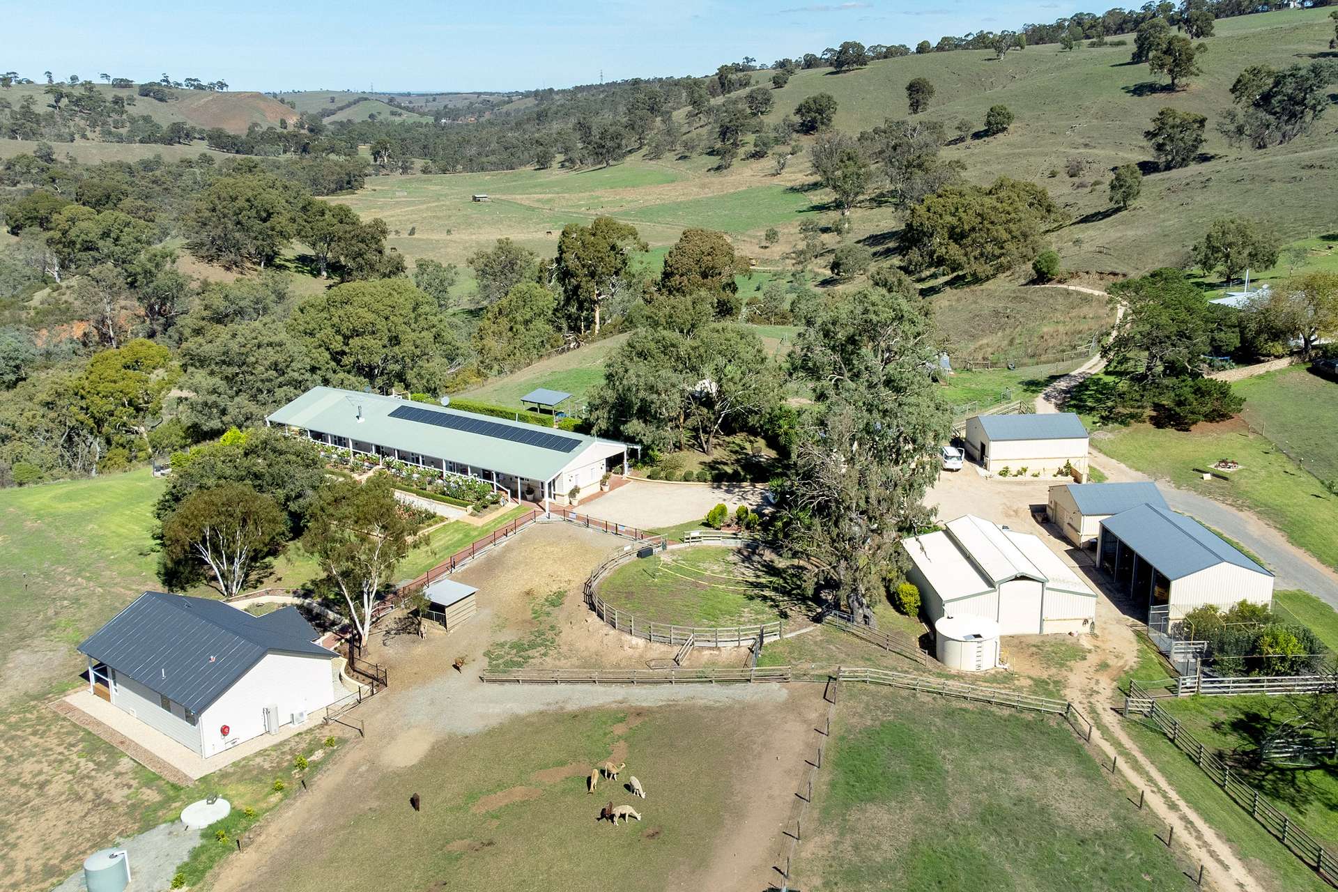 95 Smyth Road, Dawesley For Sale by Farmbuy.com - image 4