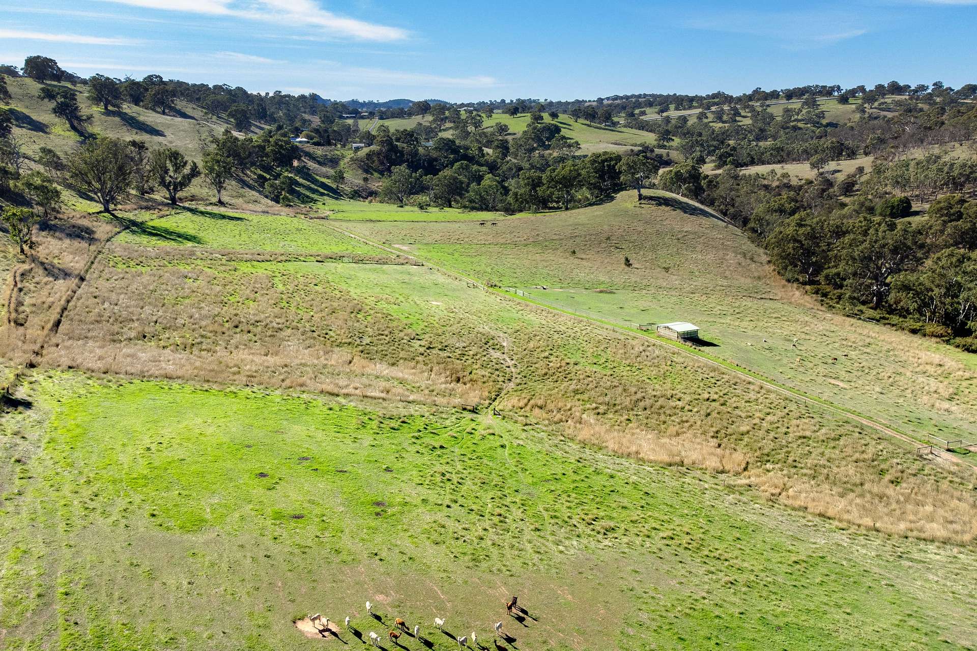 95 Smyth Road, Dawesley For Sale by Farmbuy.com - image 31