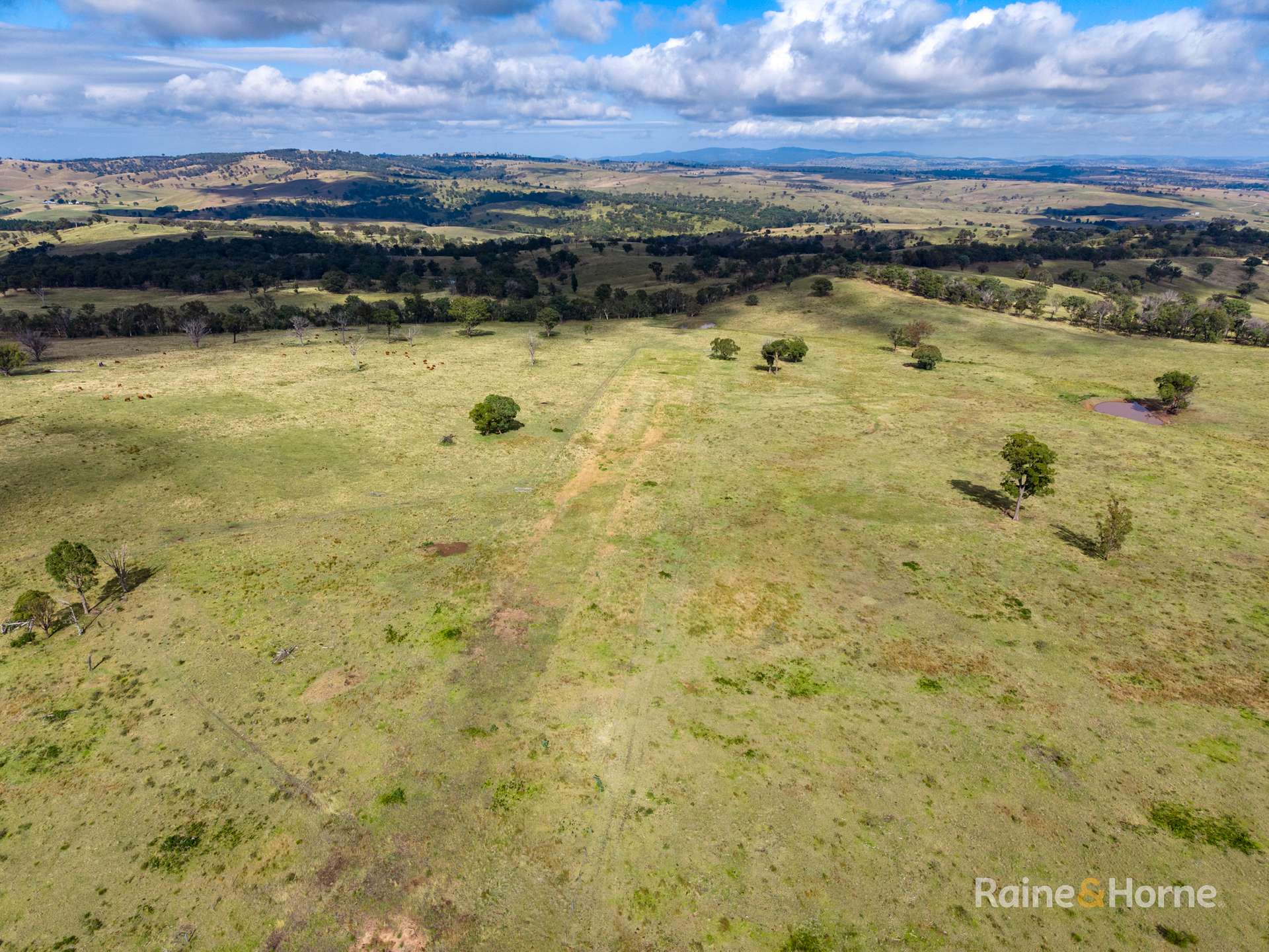 733 Niangala Road, Woolbrook For Sale by Farmbuy.com - image 11