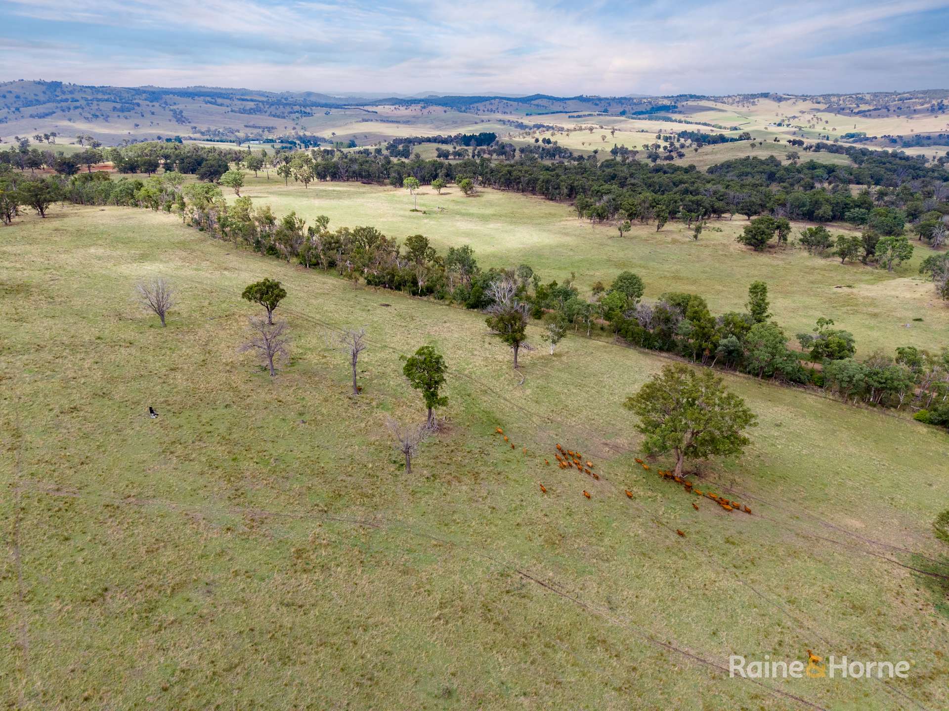 733 Niangala Road, Woolbrook For Sale by Farmbuy.com - image 12