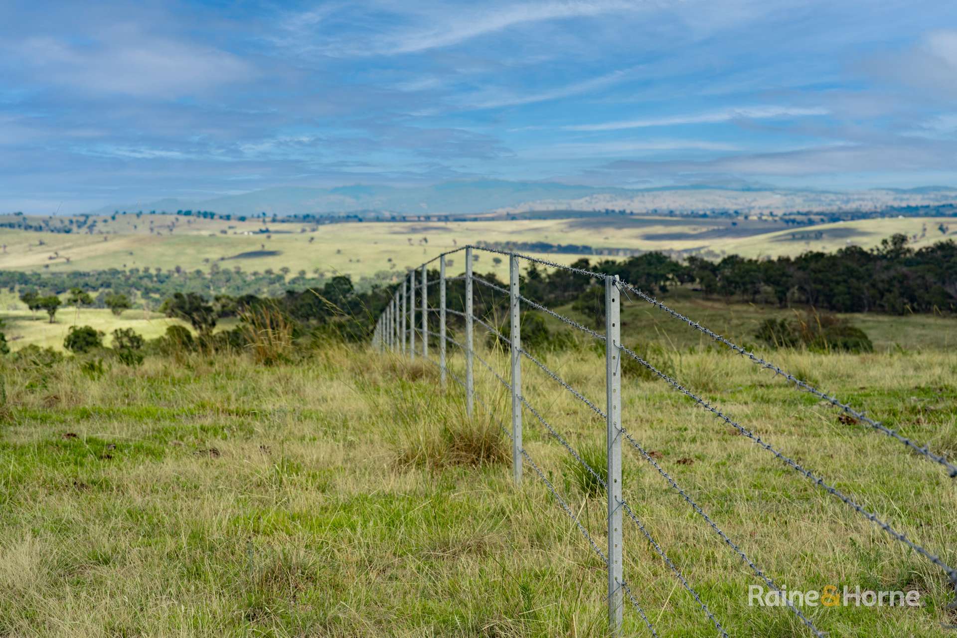 733 Niangala Road, Woolbrook For Sale by Farmbuy.com - image 8
