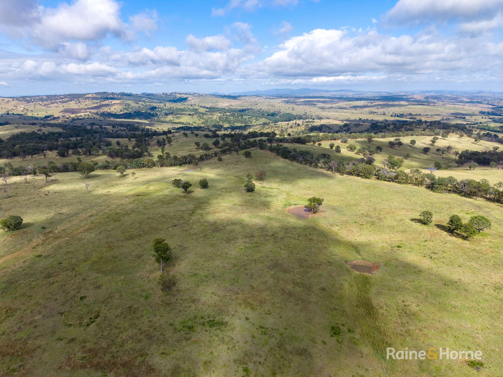733 Niangala Road, Woolbrook For Sale by Farmbuy.com - image 10