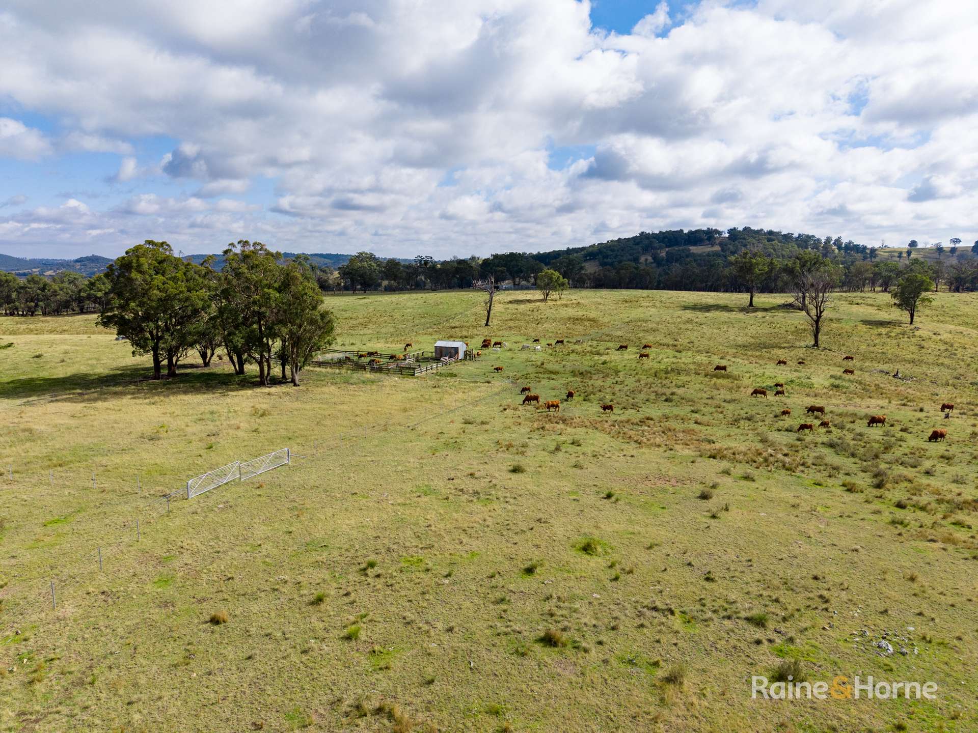733 Niangala Road, Woolbrook For Sale by Farmbuy.com - image 9