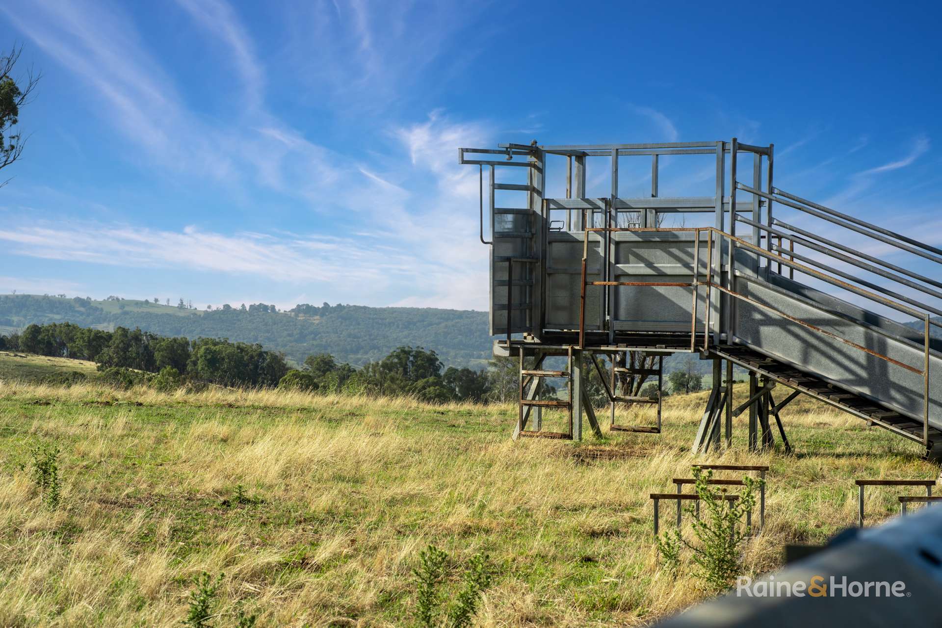 733 Niangala Road, Woolbrook For Sale by Farmbuy.com - image 7