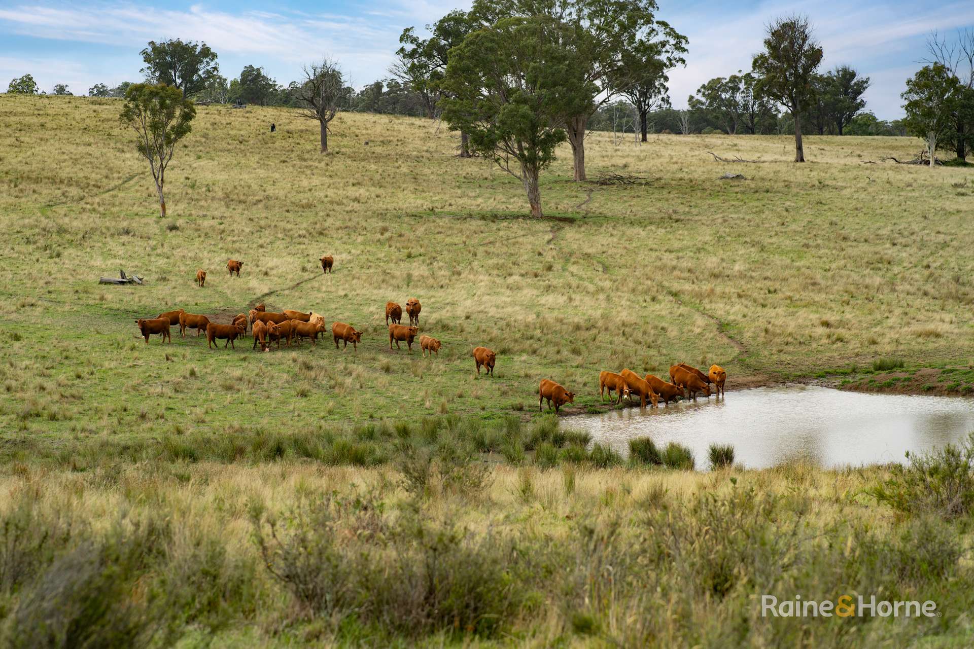 733 Niangala Road, Woolbrook For Sale by Farmbuy.com - image 1