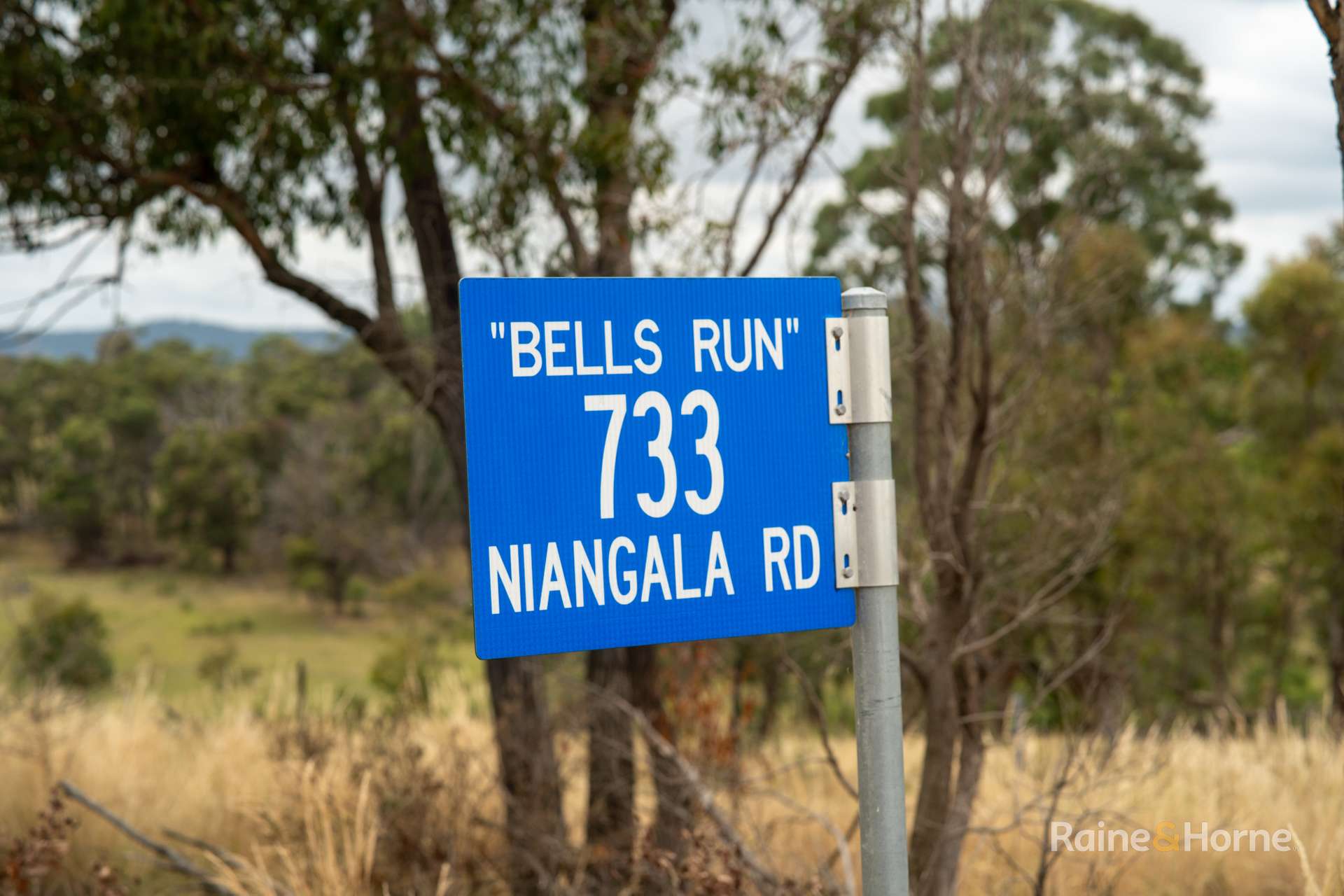 733 Niangala Road, Woolbrook For Sale by Farmbuy.com - image 16