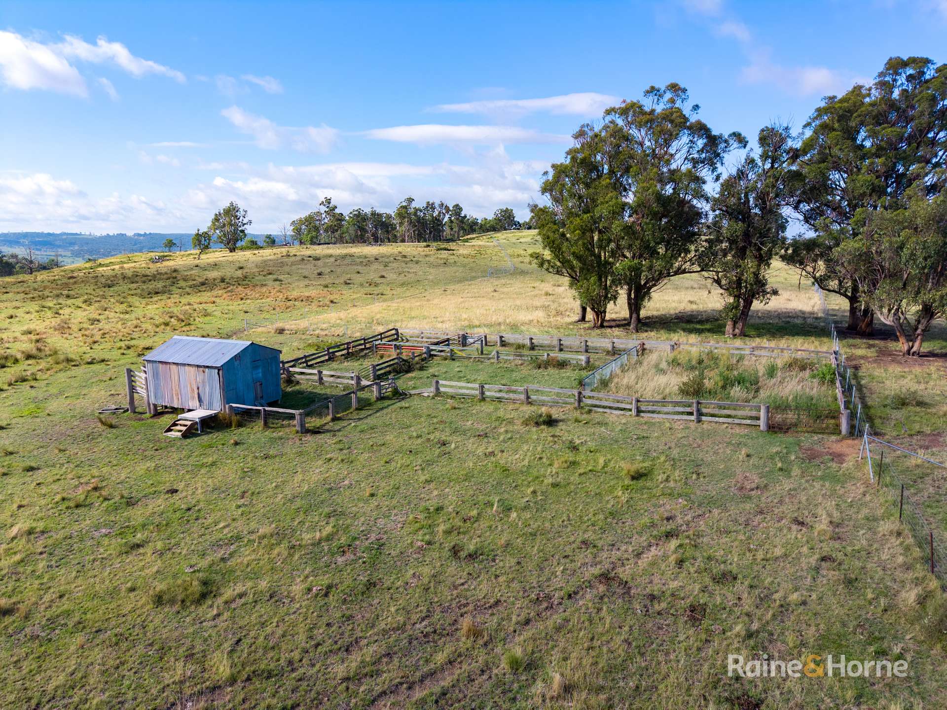 733 Niangala Road, Woolbrook For Sale by Farmbuy.com - image 13